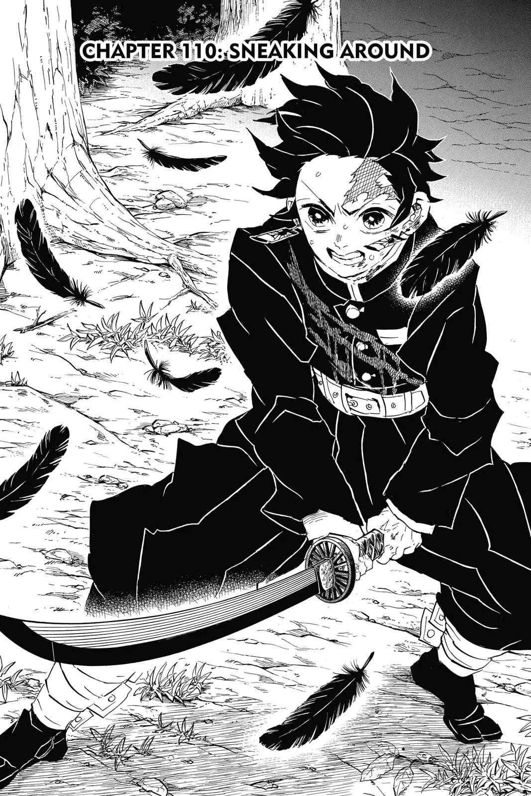 Read Demon Slayer Kimetsu no Yaiba EN Manga Online
