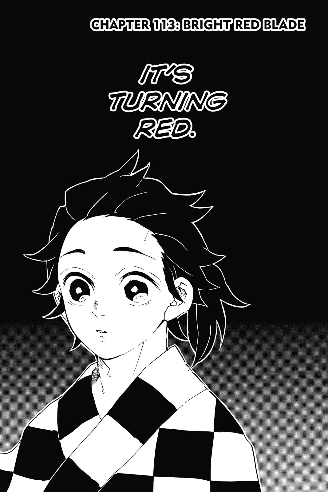 Read Demon Slayer Kimetsu no Yaiba EN Manga Online