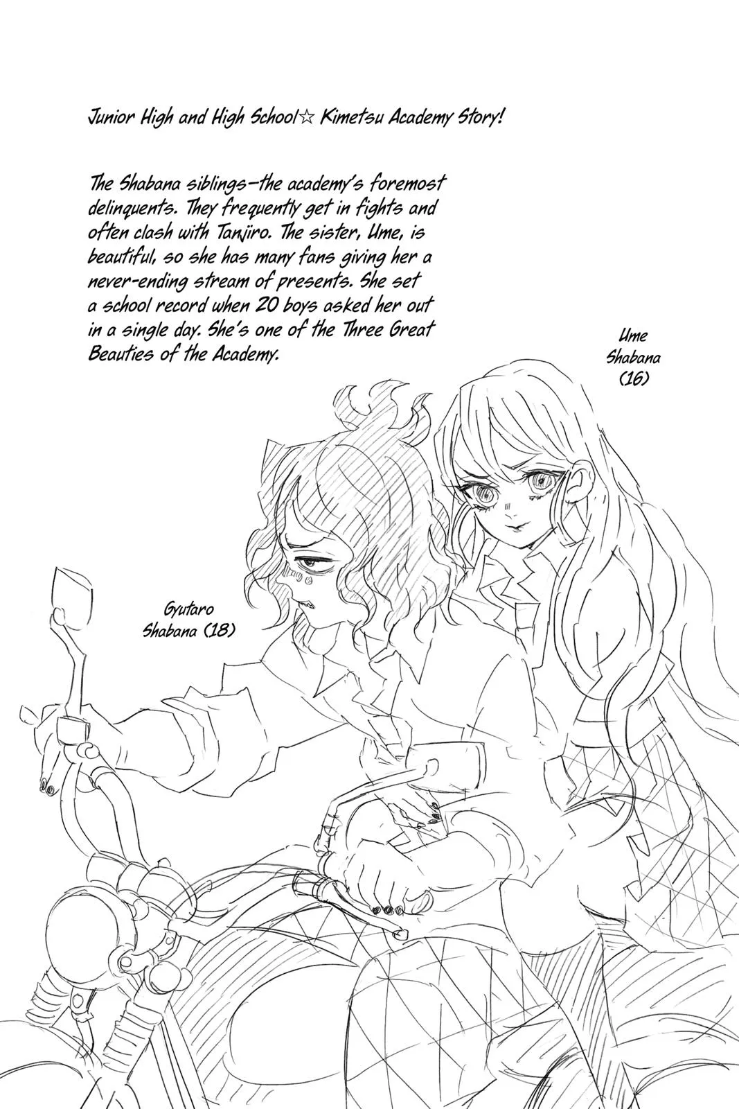 Read Demon Slayer Kimetsu no Yaiba EN Manga Online