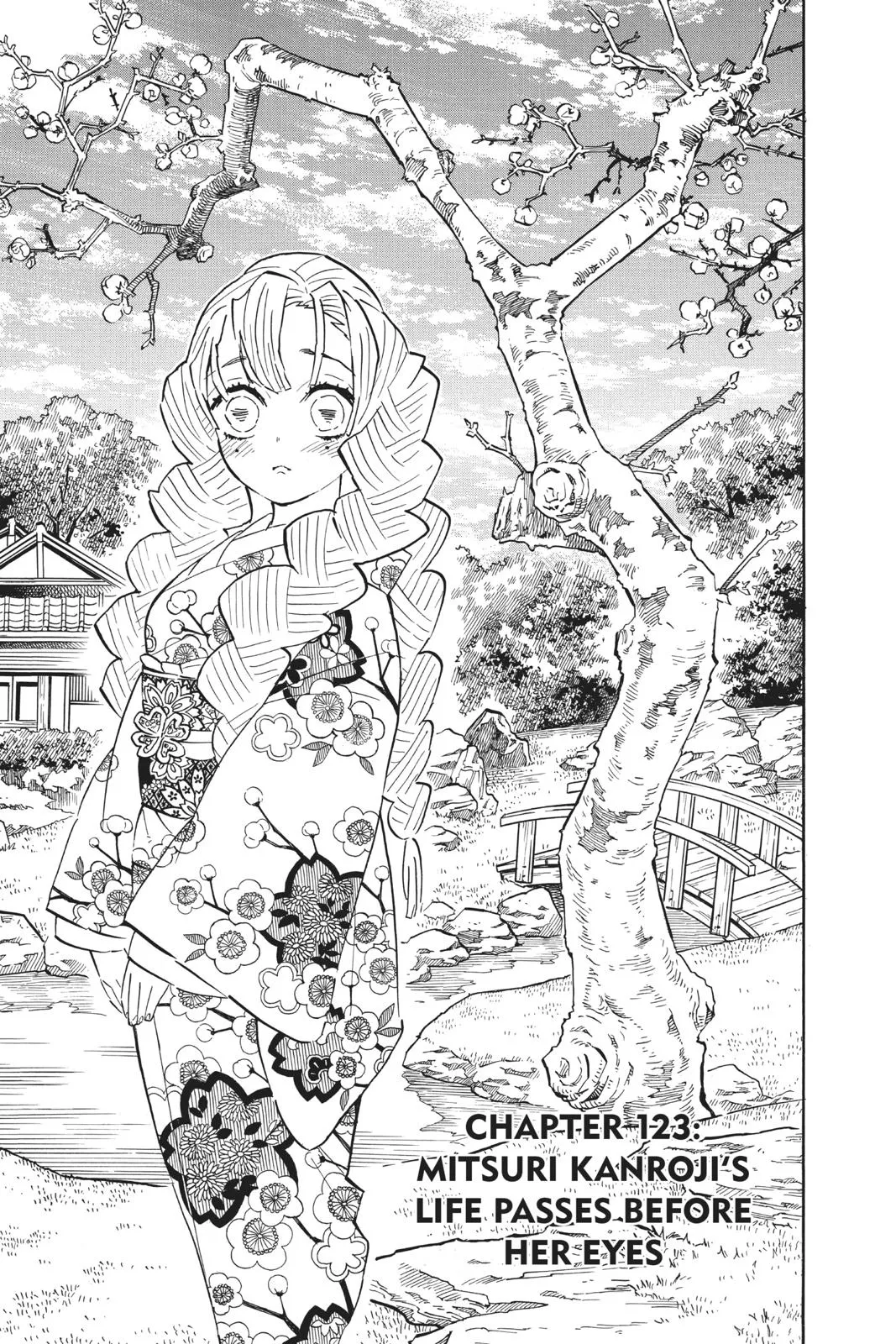 Read Demon Slayer Kimetsu no Yaiba EN Manga Online