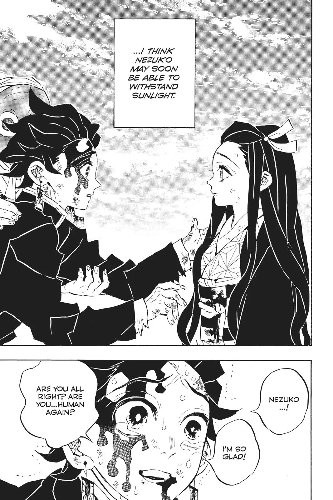 Read Demon Slayer Kimetsu no Yaiba EN Manga Online