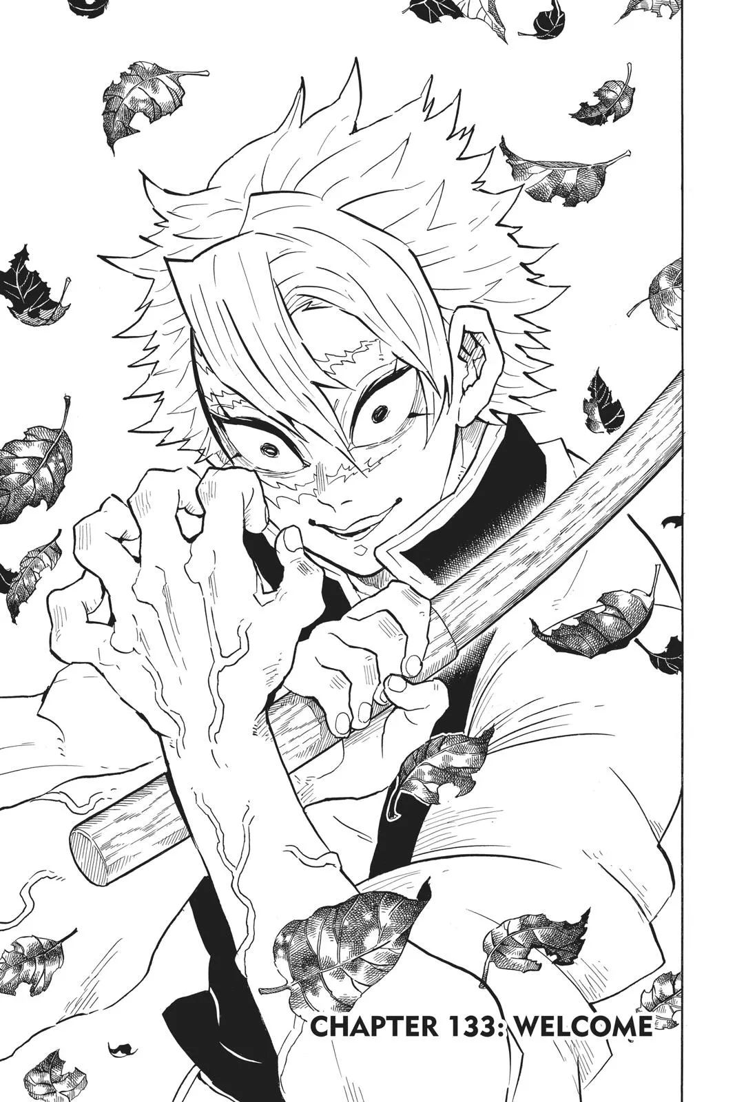Read Demon Slayer Kimetsu no Yaiba EN Manga Online