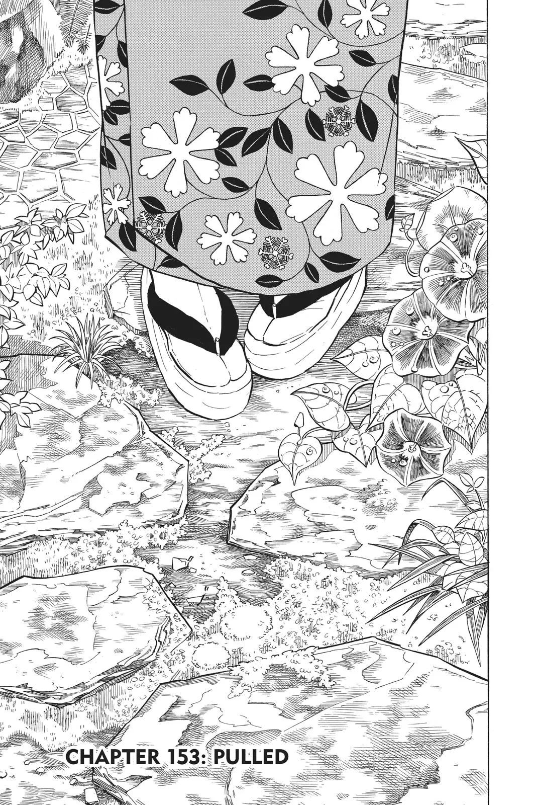 Read Demon Slayer Kimetsu no Yaiba EN Manga Online