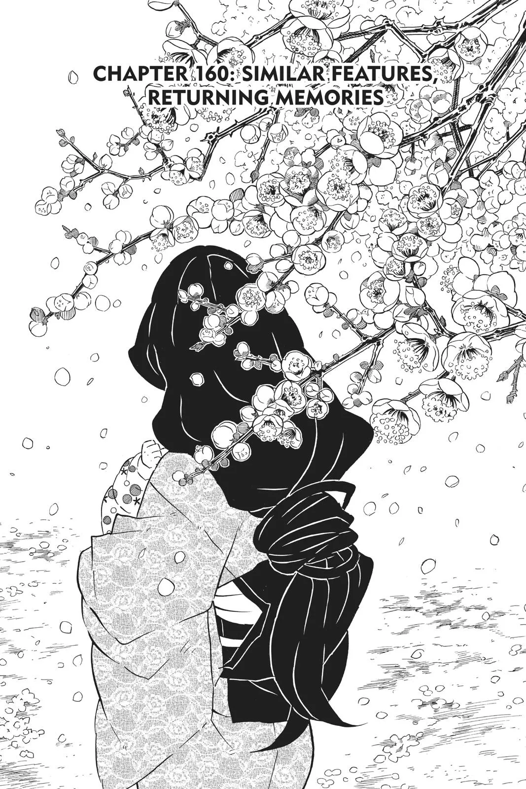 Read Demon Slayer Kimetsu no Yaiba EN Manga Online