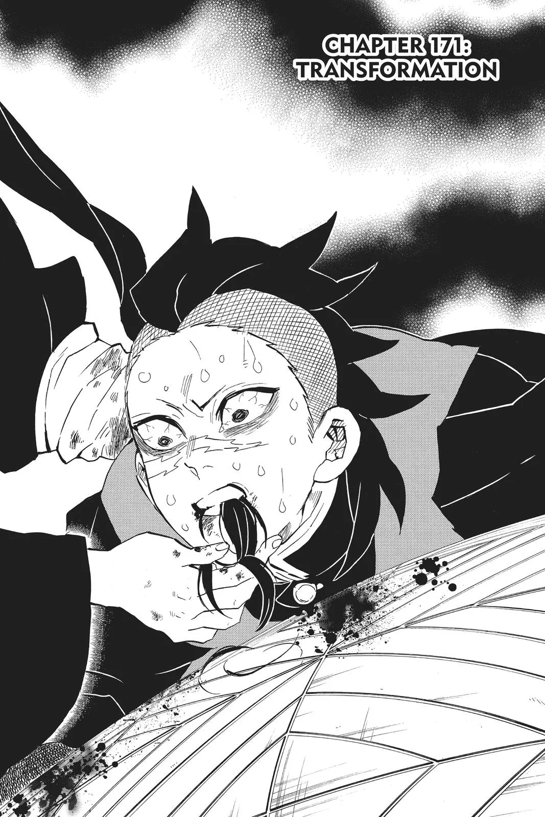 Read Demon Slayer Kimetsu no Yaiba EN Manga Online