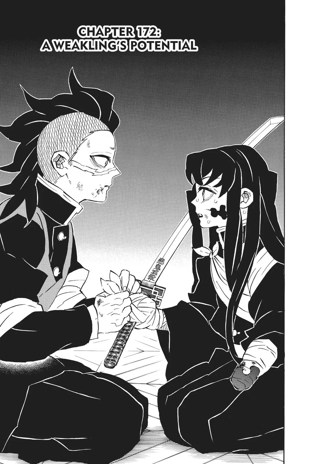 Read Demon Slayer Kimetsu no Yaiba EN Manga Online