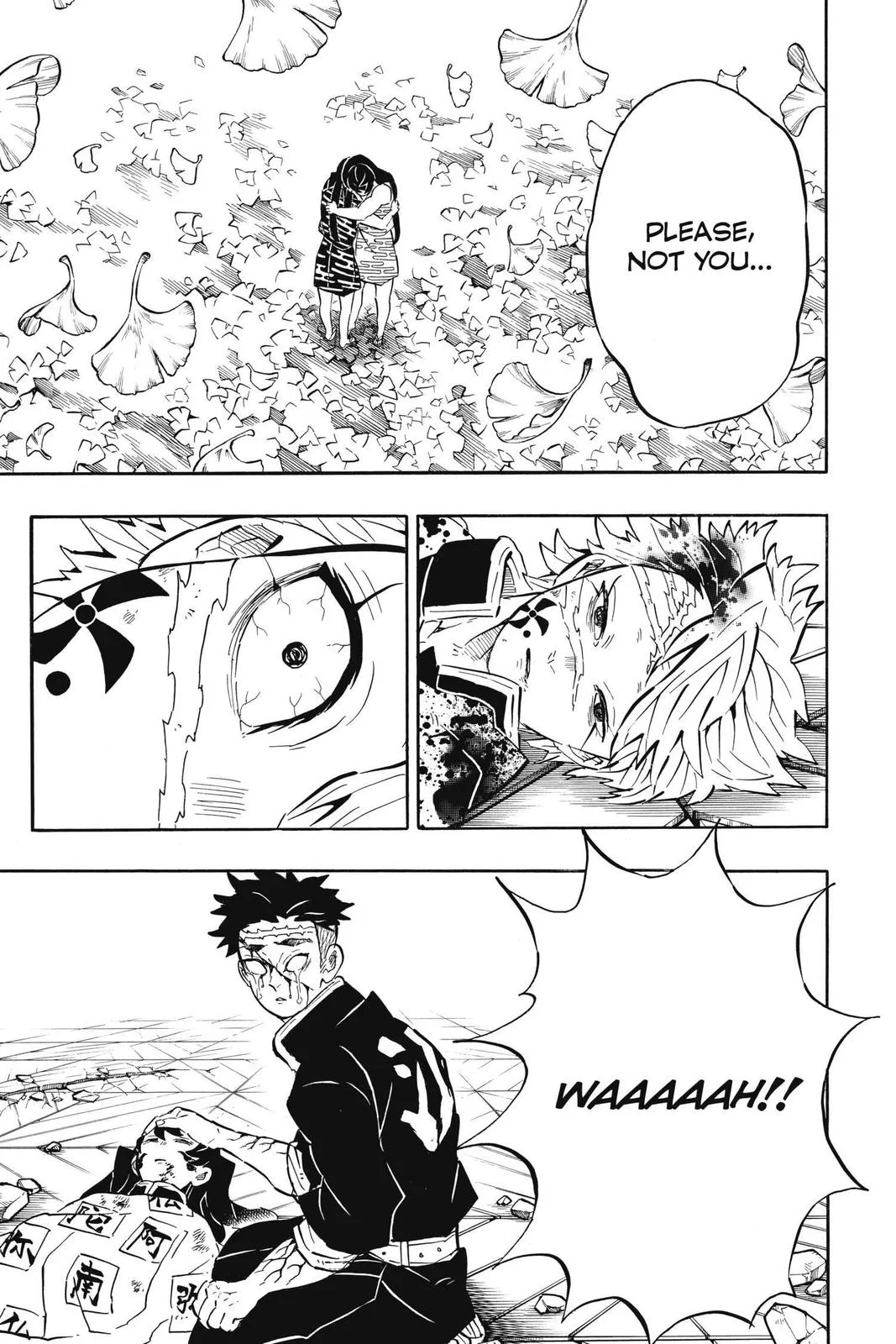 Read Demon Slayer Kimetsu no Yaiba EN Manga Online