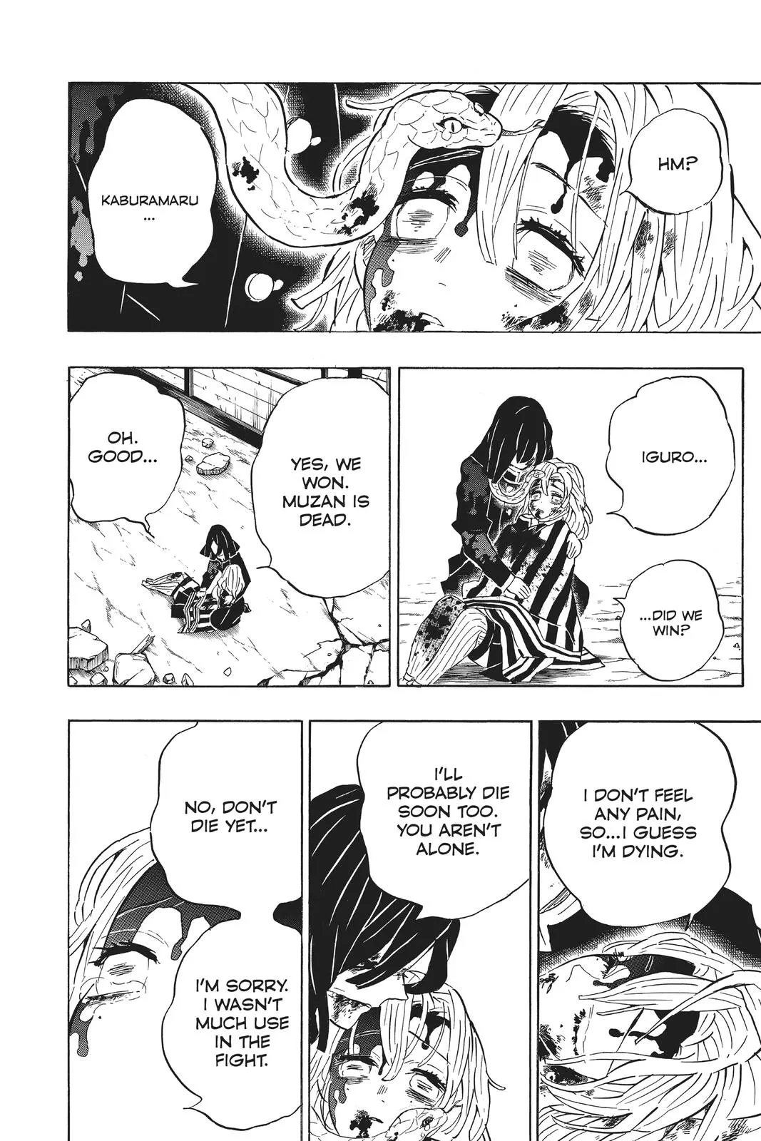 Read Demon Slayer Kimetsu no Yaiba EN Manga Online