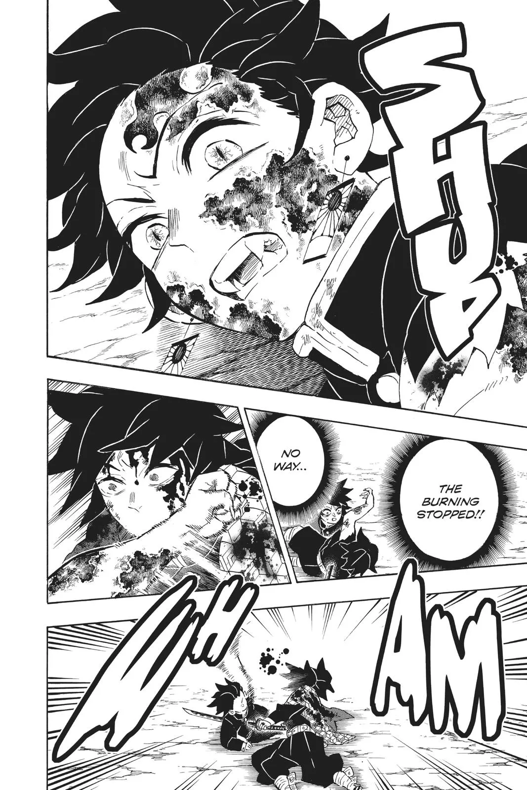 Read Demon Slayer Kimetsu no Yaiba EN Manga Online