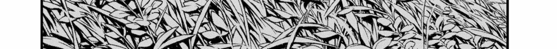 Read Money Forest EN Manga Online