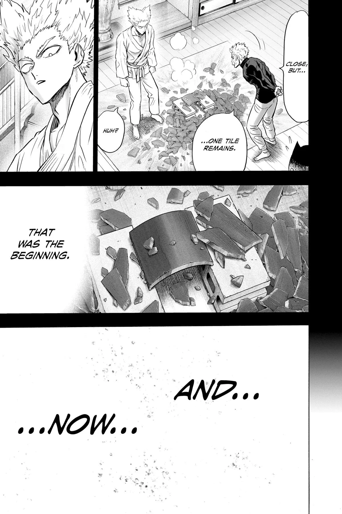 Read One Punch Man EN Manga Online