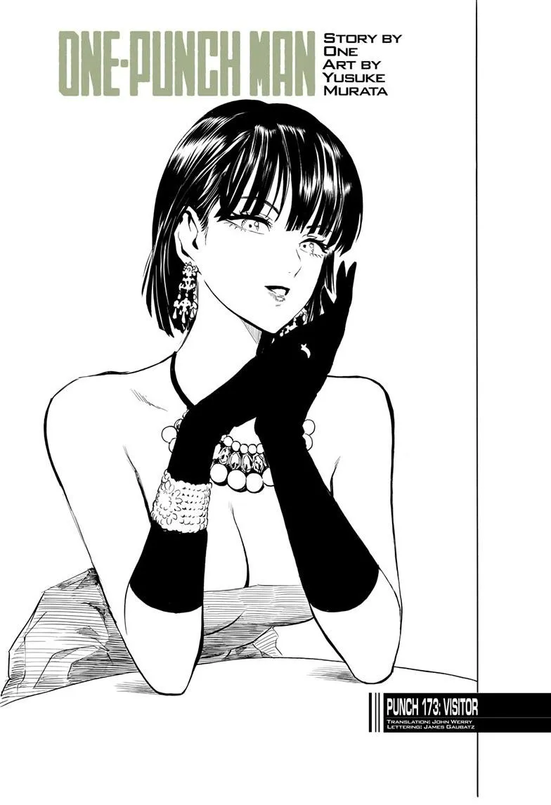 Read One Punch Man EN Manga Online