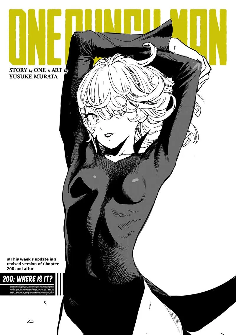 Read One Punch Man EN Manga Online