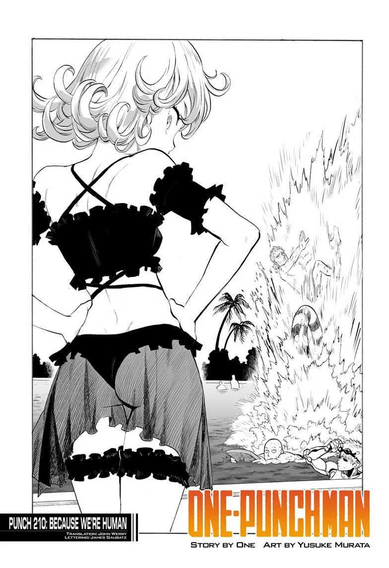 Read One Punch Man EN Manga Online