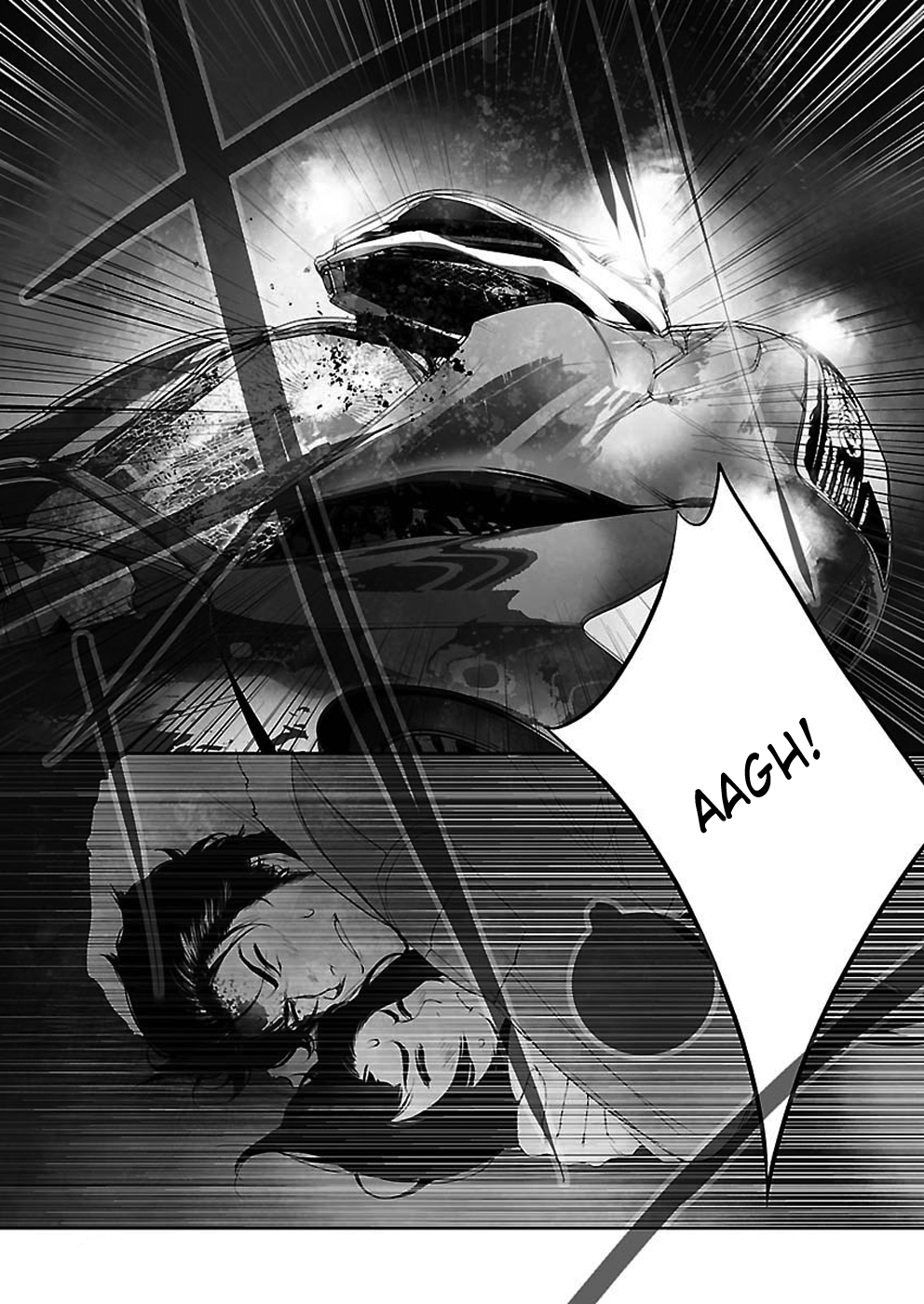 Read Steins Gate - Epigraph of the Closed Curve EN Manga Online