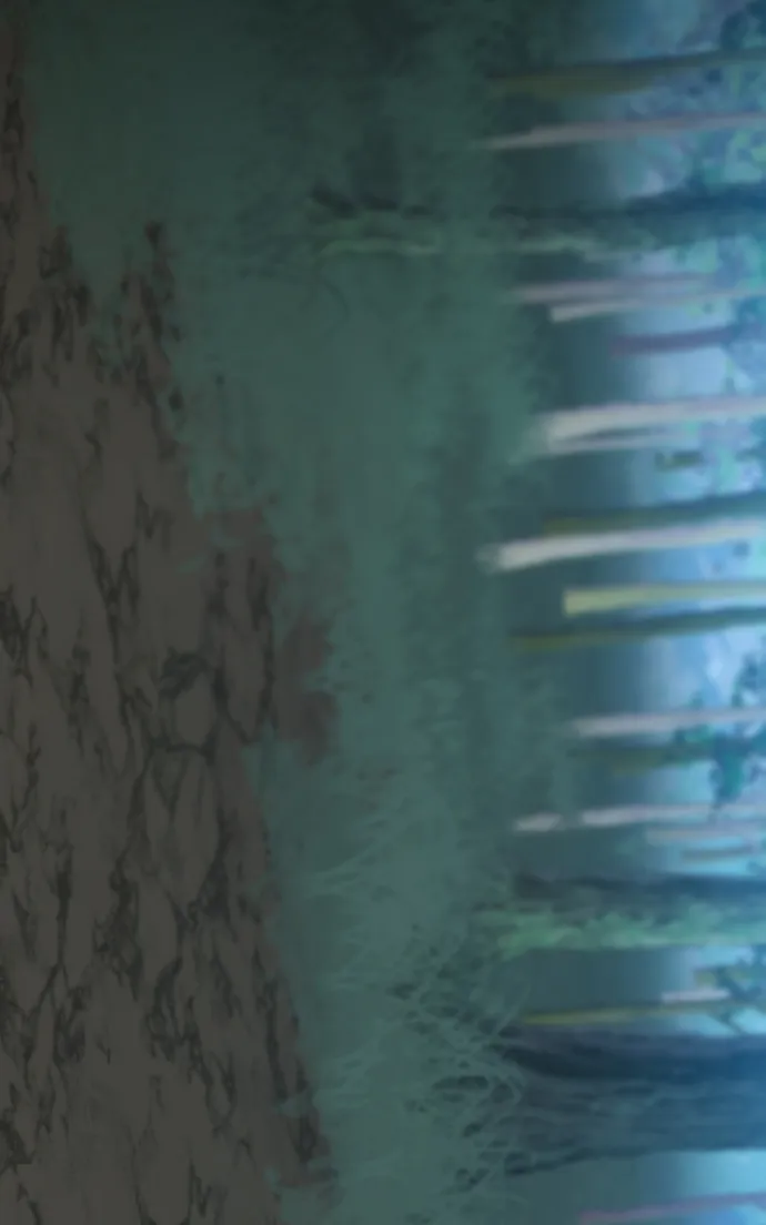 Read The Primal Hunter EN Manga Online