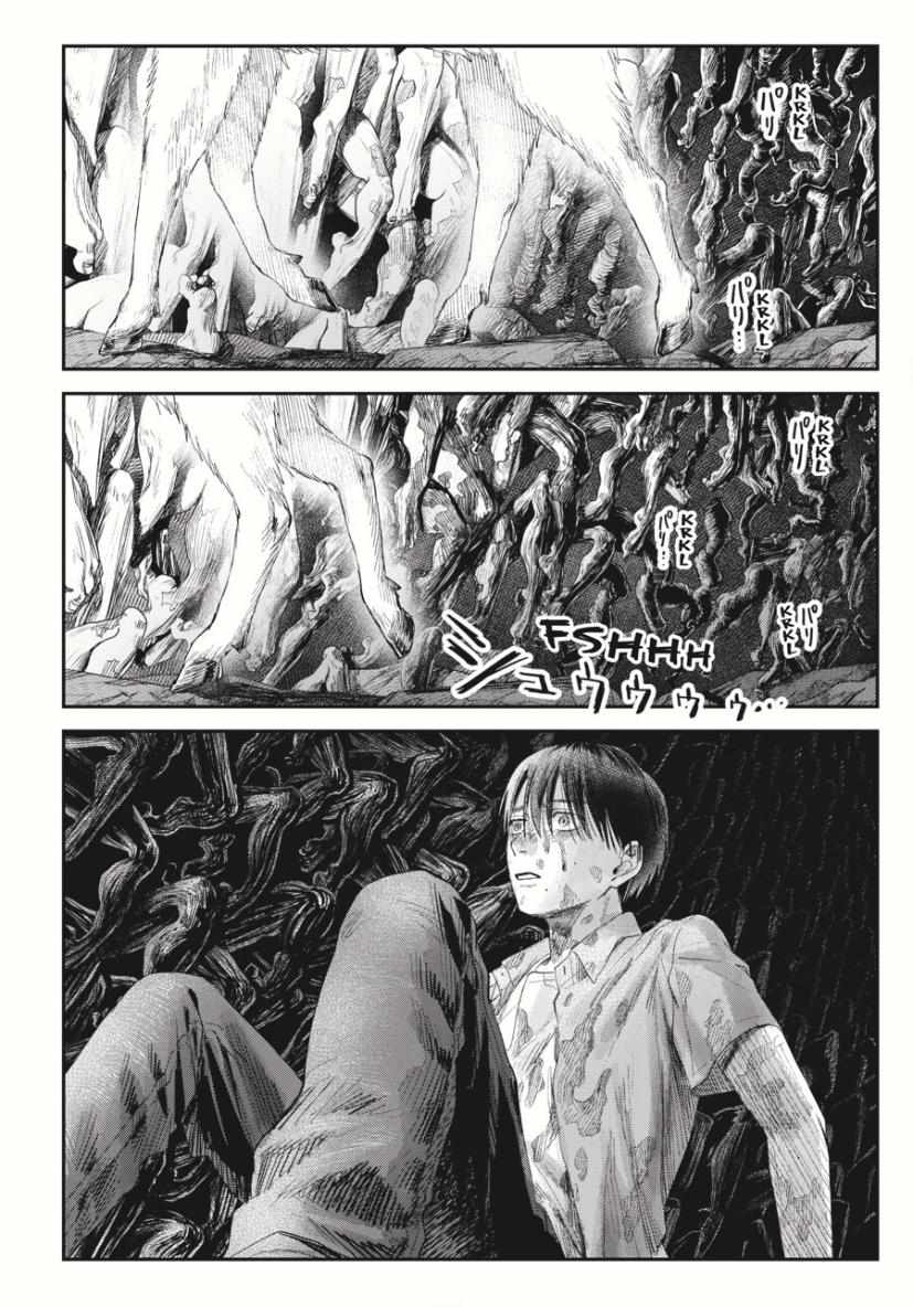 Read The Summer Hikaru Died EN Manga Online