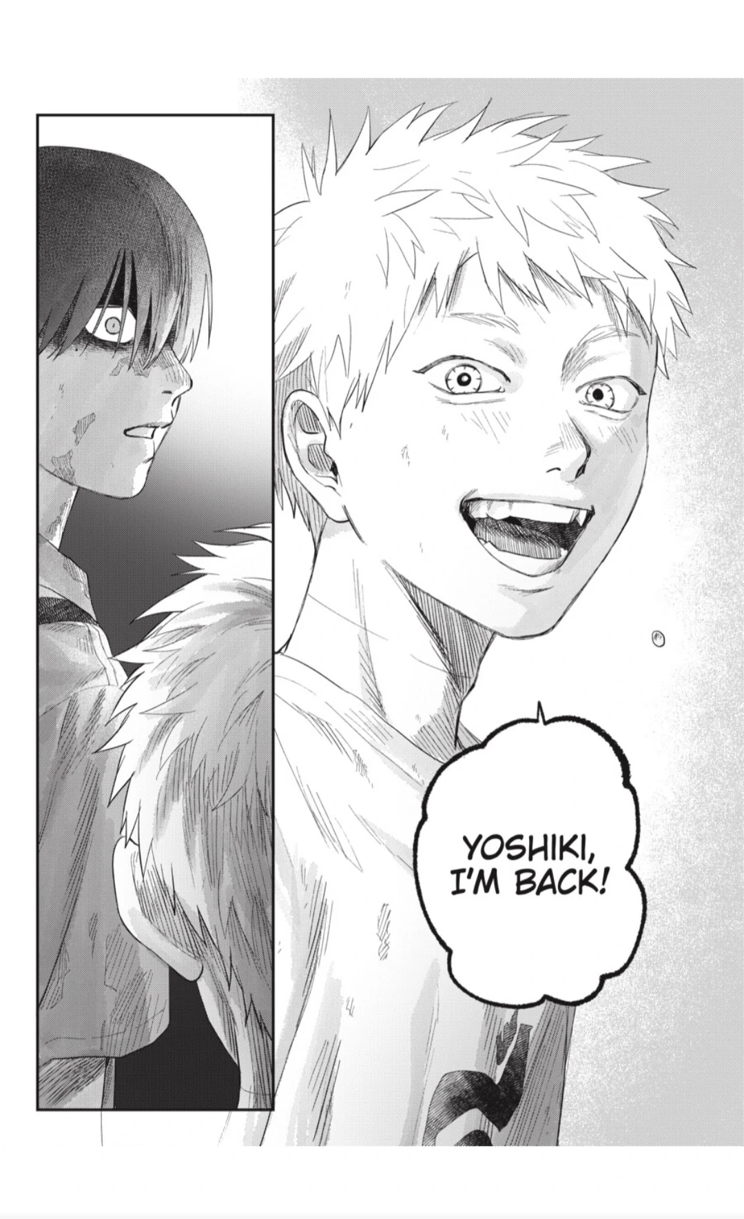 Read The Summer Hikaru Died EN Manga Online