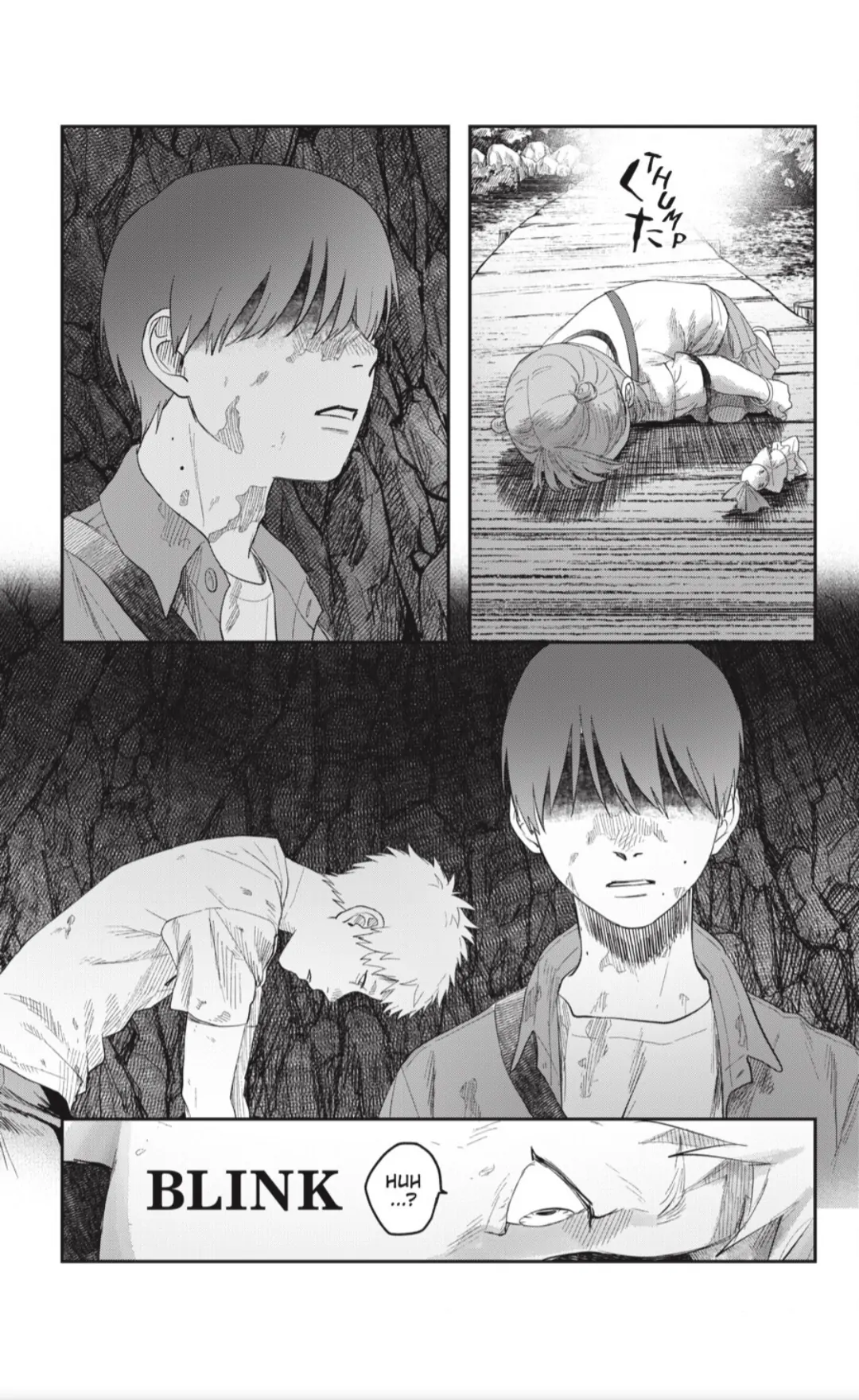 Read The Summer Hikaru Died EN Manga Online