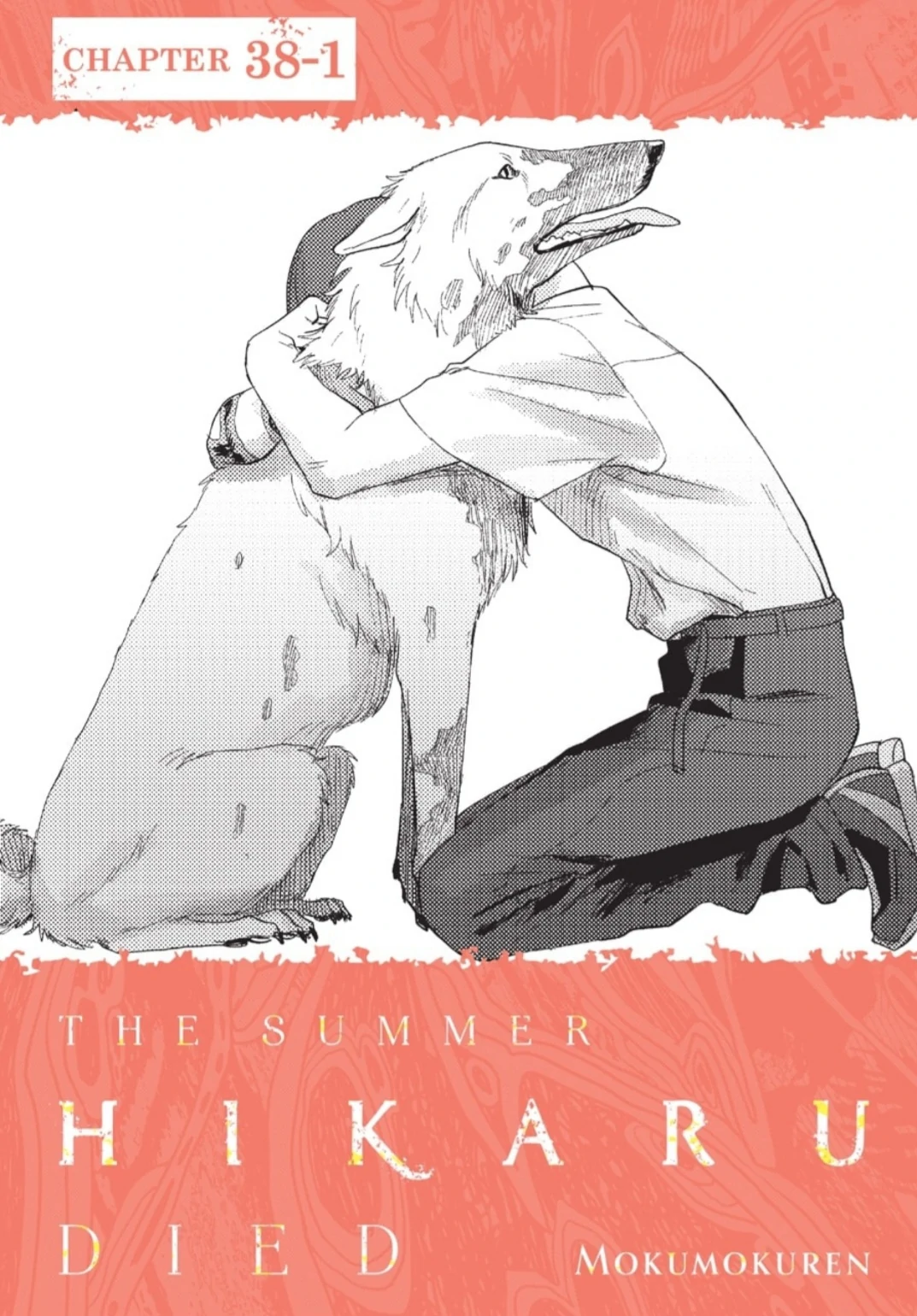 Read The Summer Hikaru Died EN Manga Online