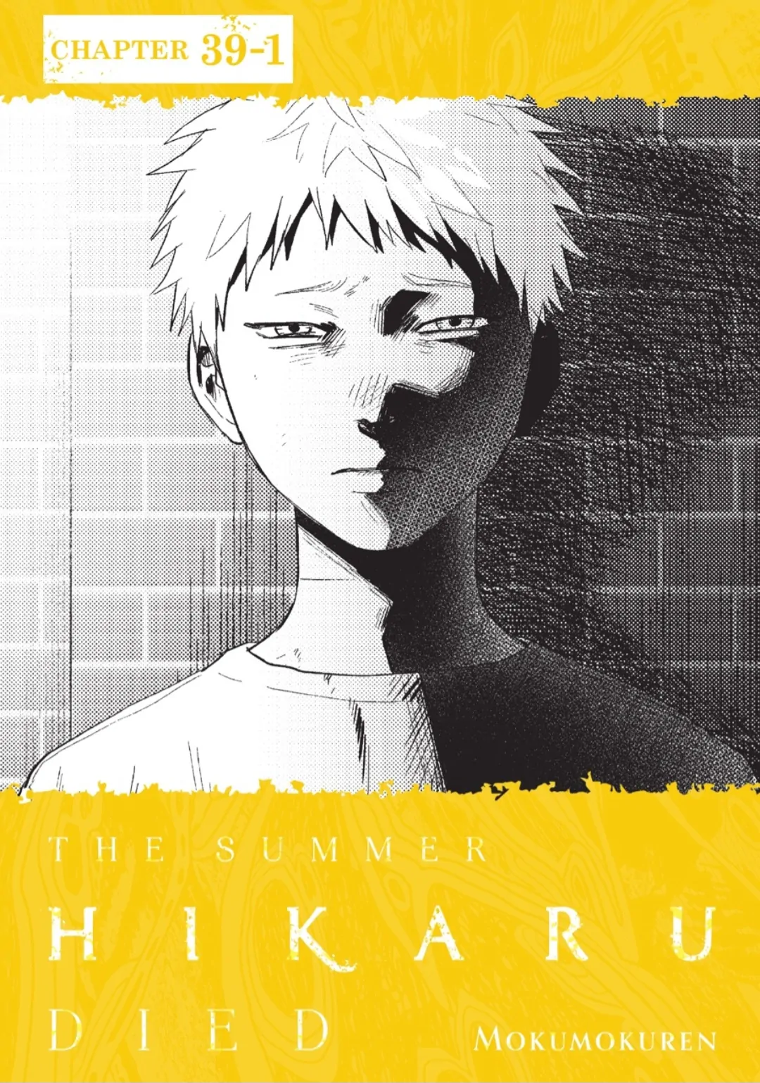 Read The Summer Hikaru Died EN Manga Online