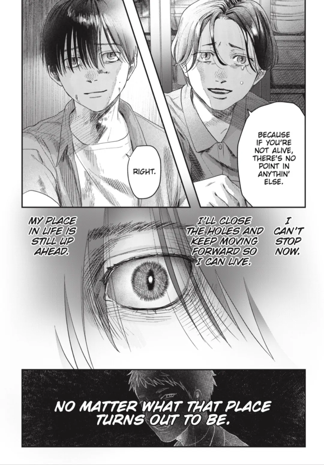 Read The Summer Hikaru Died EN Manga Online