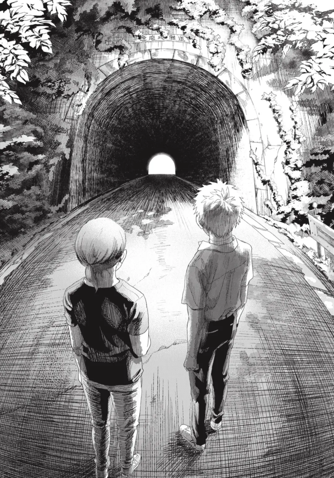 Read The Summer Hikaru Died EN Manga Online