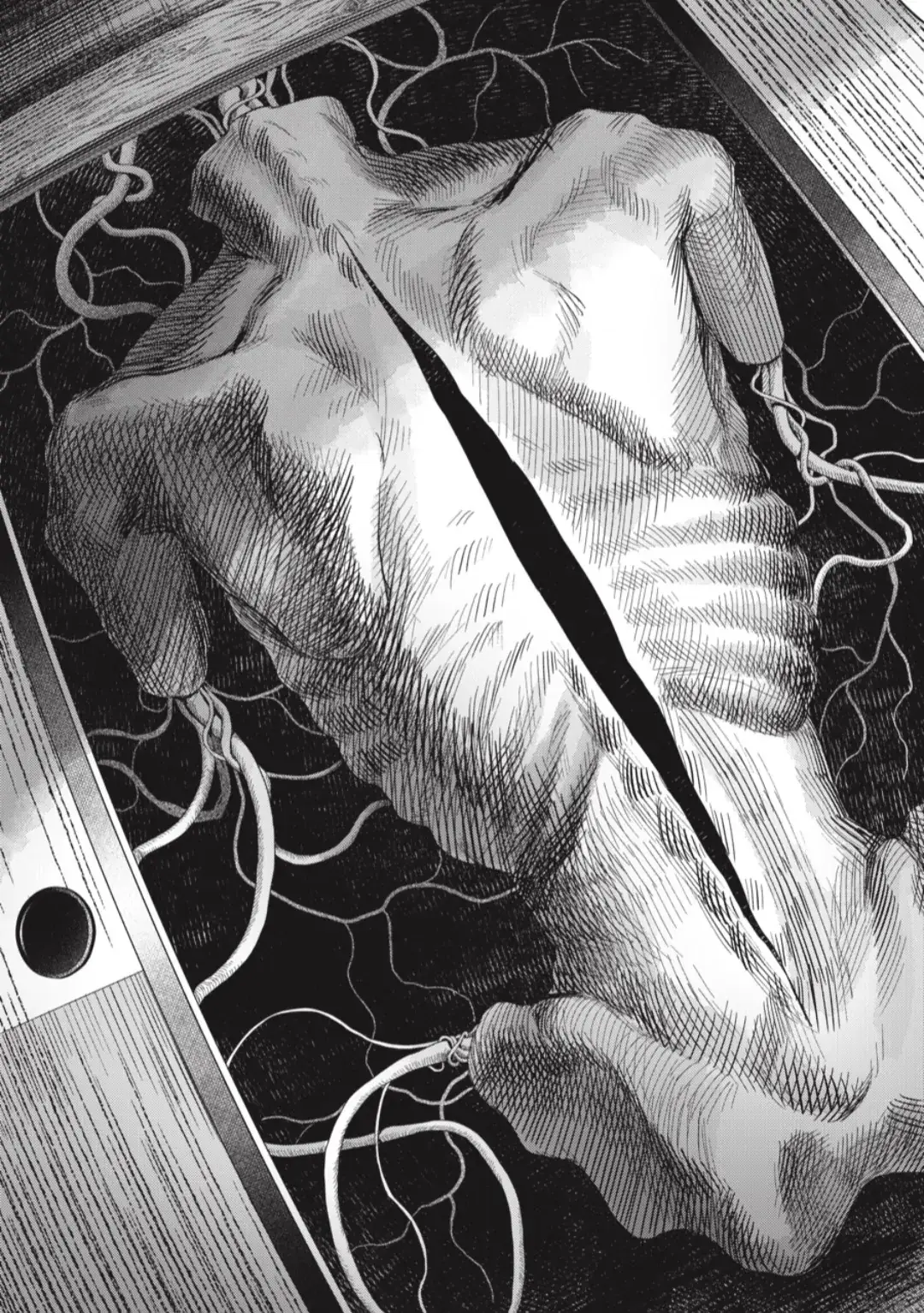 Read The Summer Hikaru Died EN Manga Online