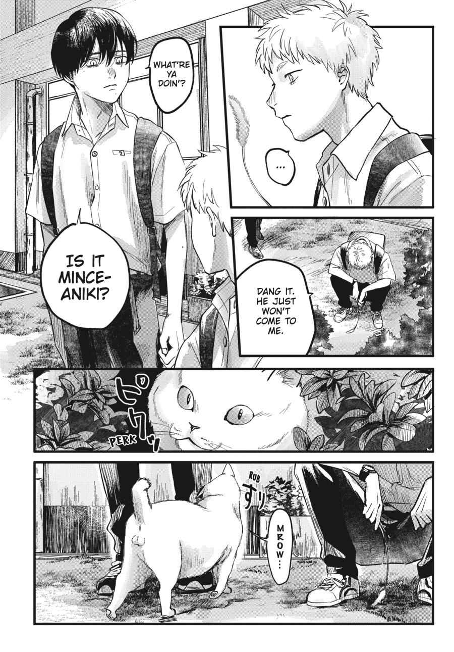 Read The Summer Hikaru Died EN Manga Online