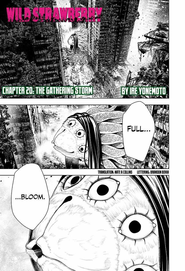 Read Wild Strawberry EN Manga Online