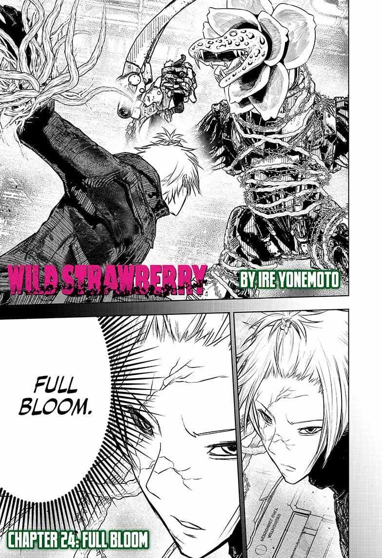 Read Wild Strawberry EN Manga Online