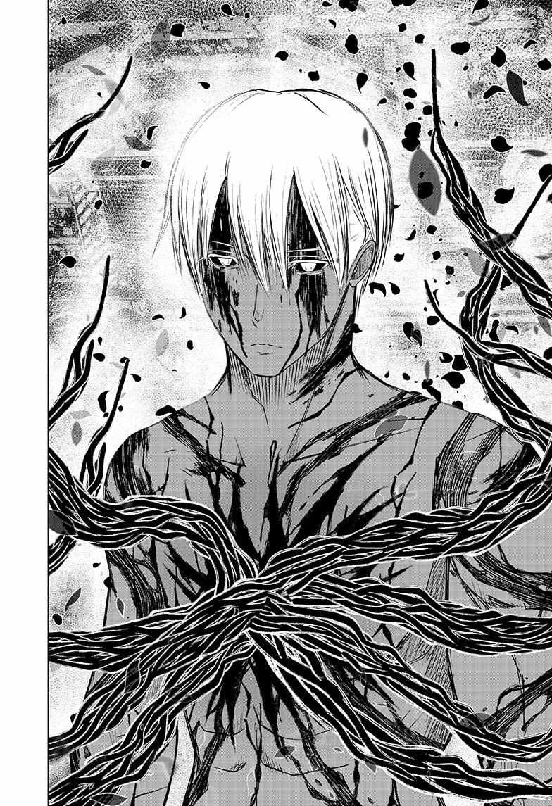 Read Wild Strawberry EN Manga Online