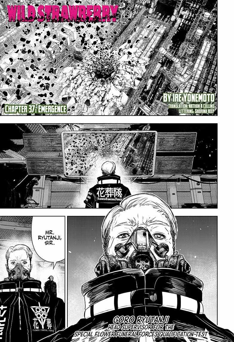 Read Wild Strawberry EN Manga Online