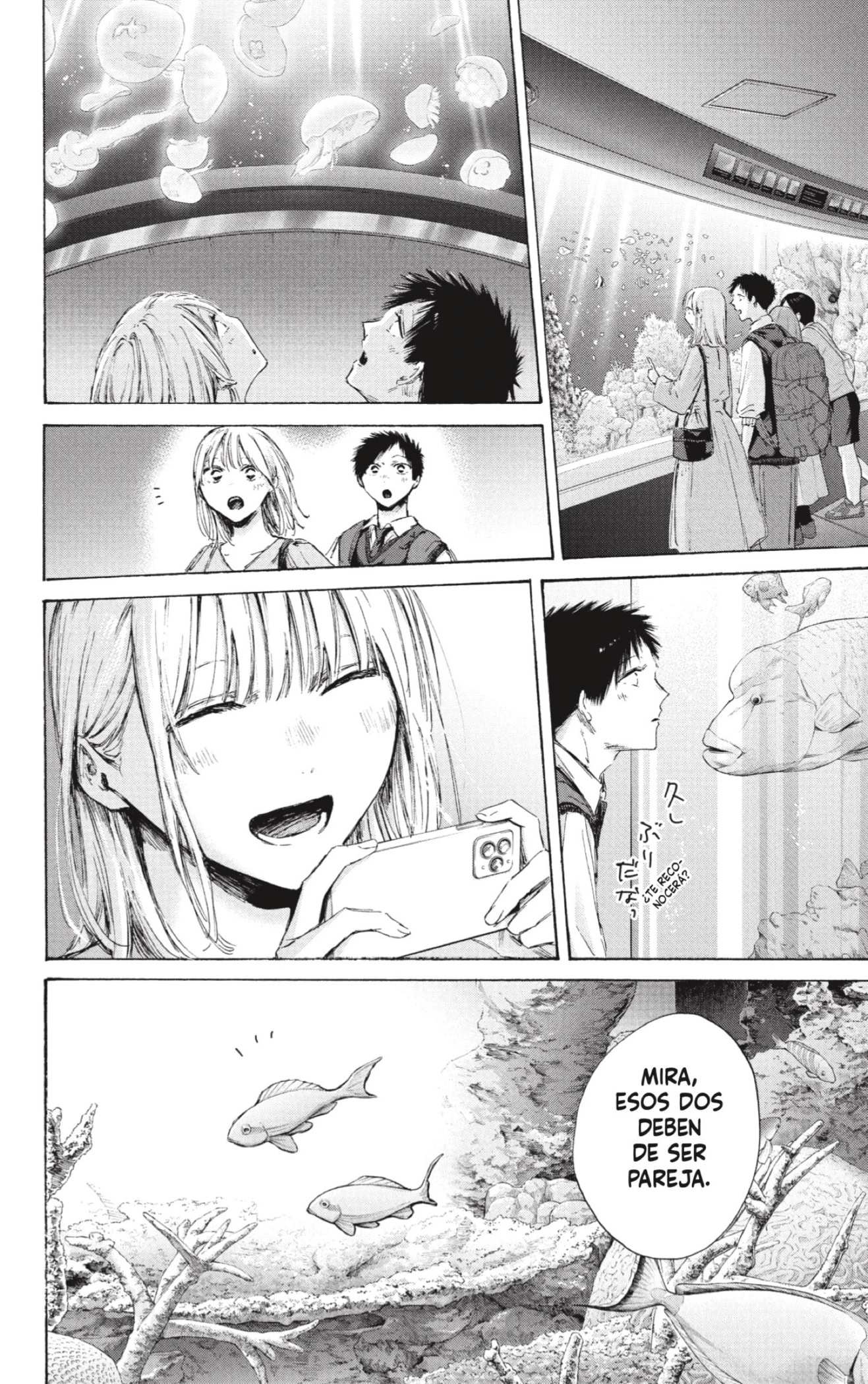 Read Blue Box ES Manga Online