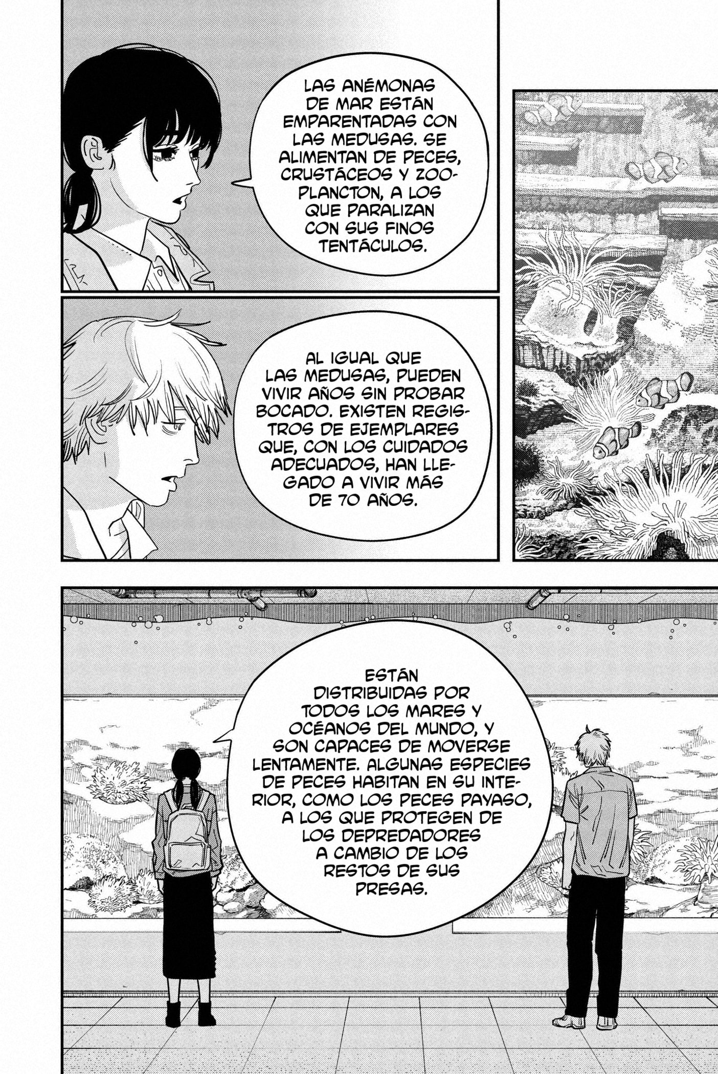 Read Chainsaw Man ES Manga Online