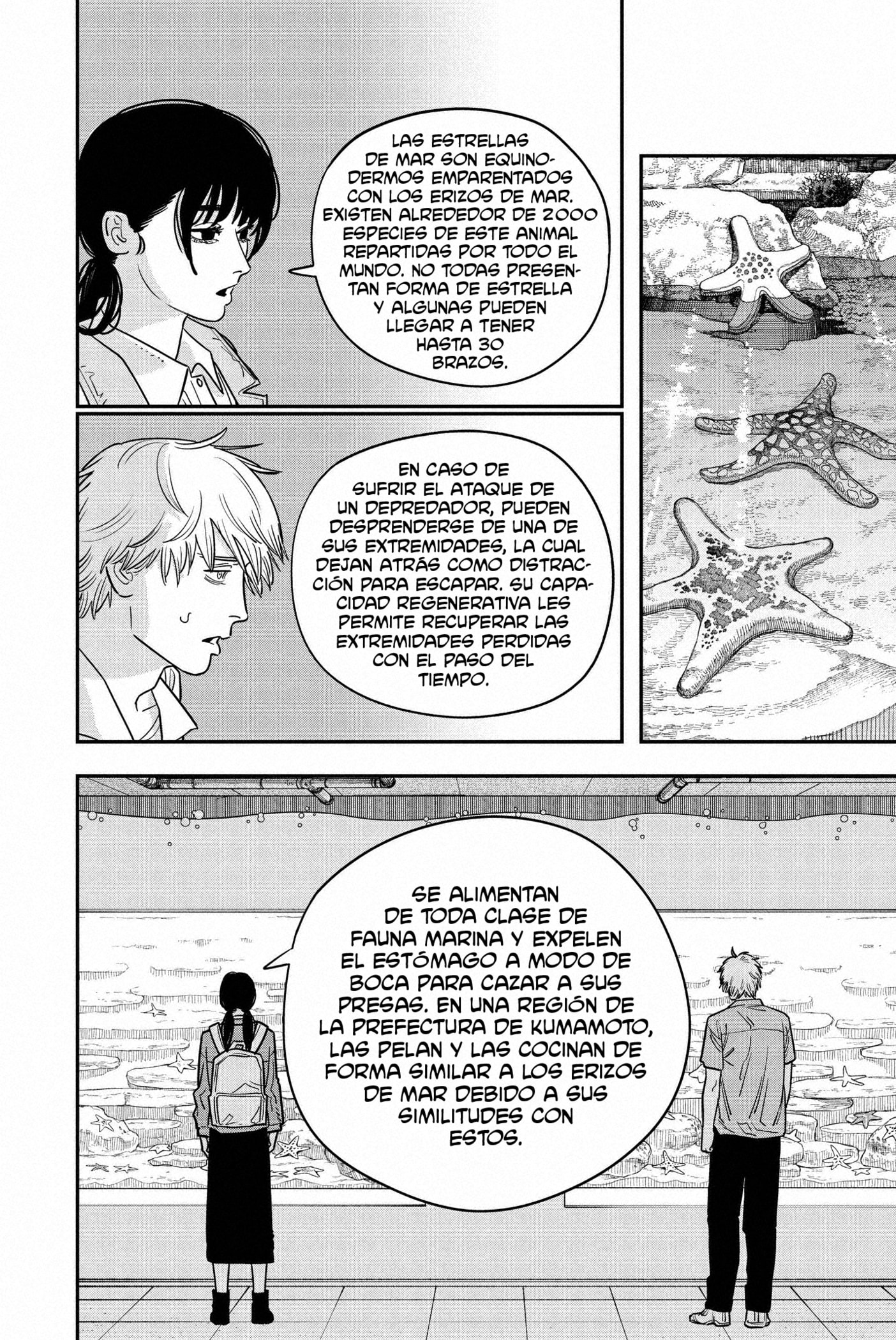 Read Chainsaw Man ES Manga Online