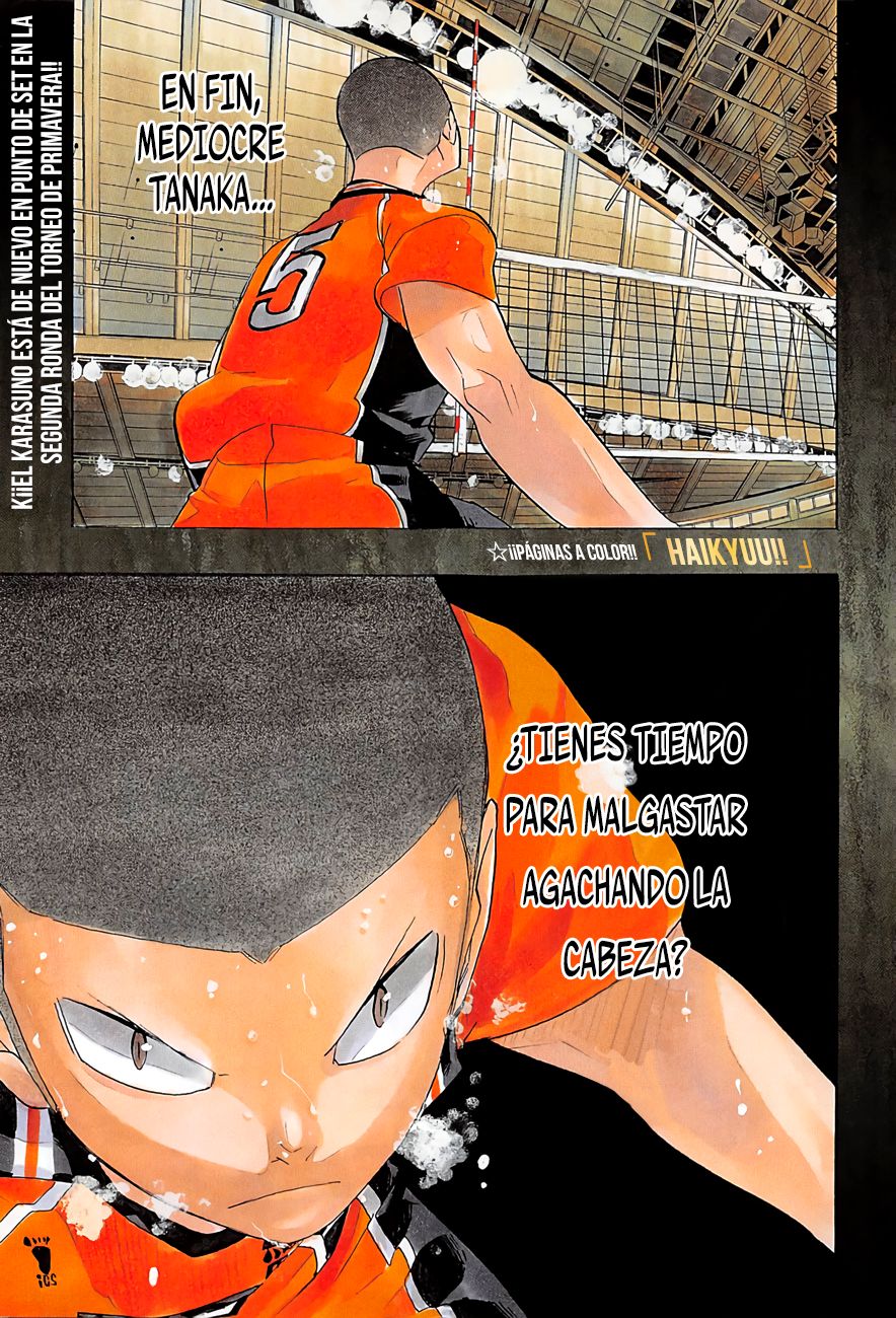 Read Haikyu!! ES Manga Online