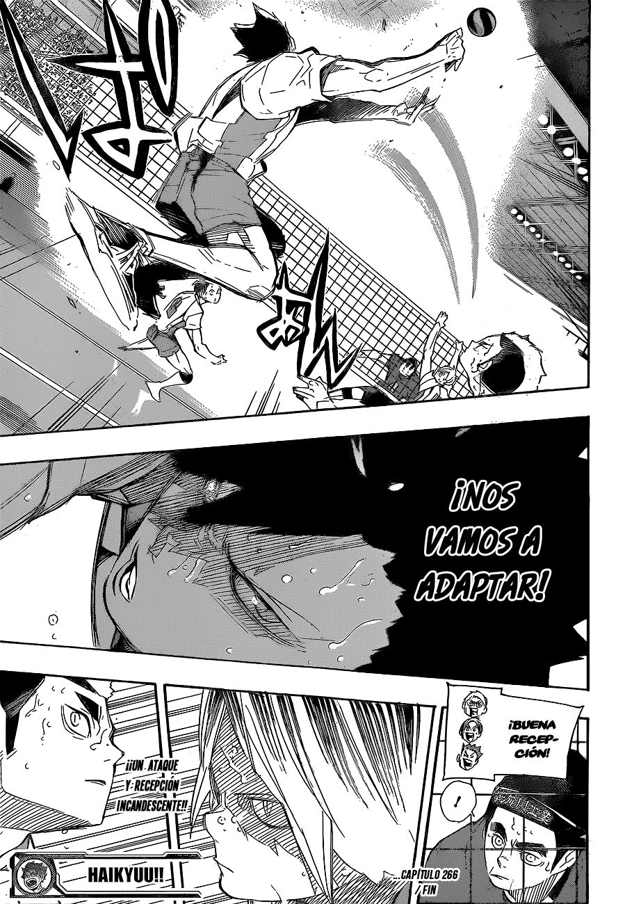 Read Haikyu!! ES Manga Online