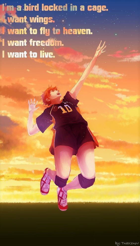 Read Haikyu!! ES Manga Online