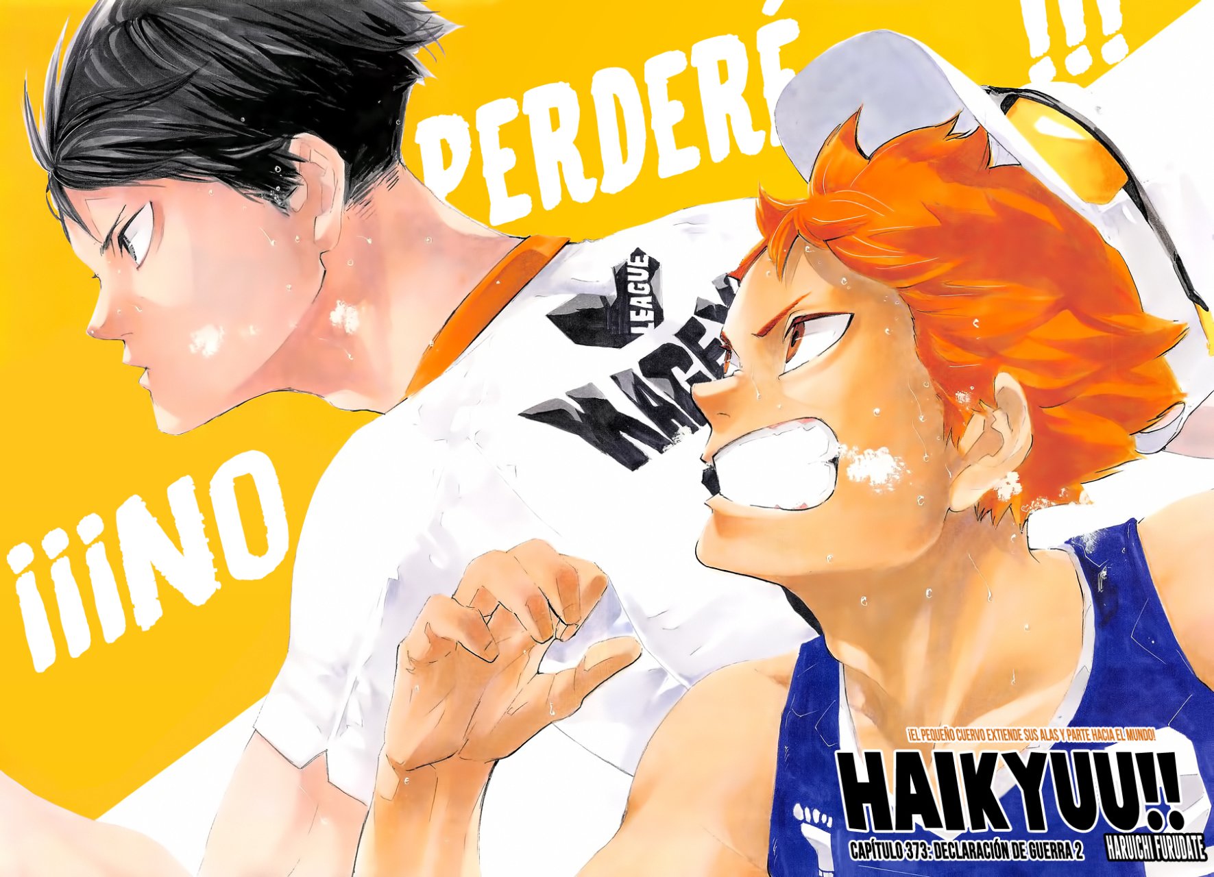 Read Haikyu!! ES Manga Online