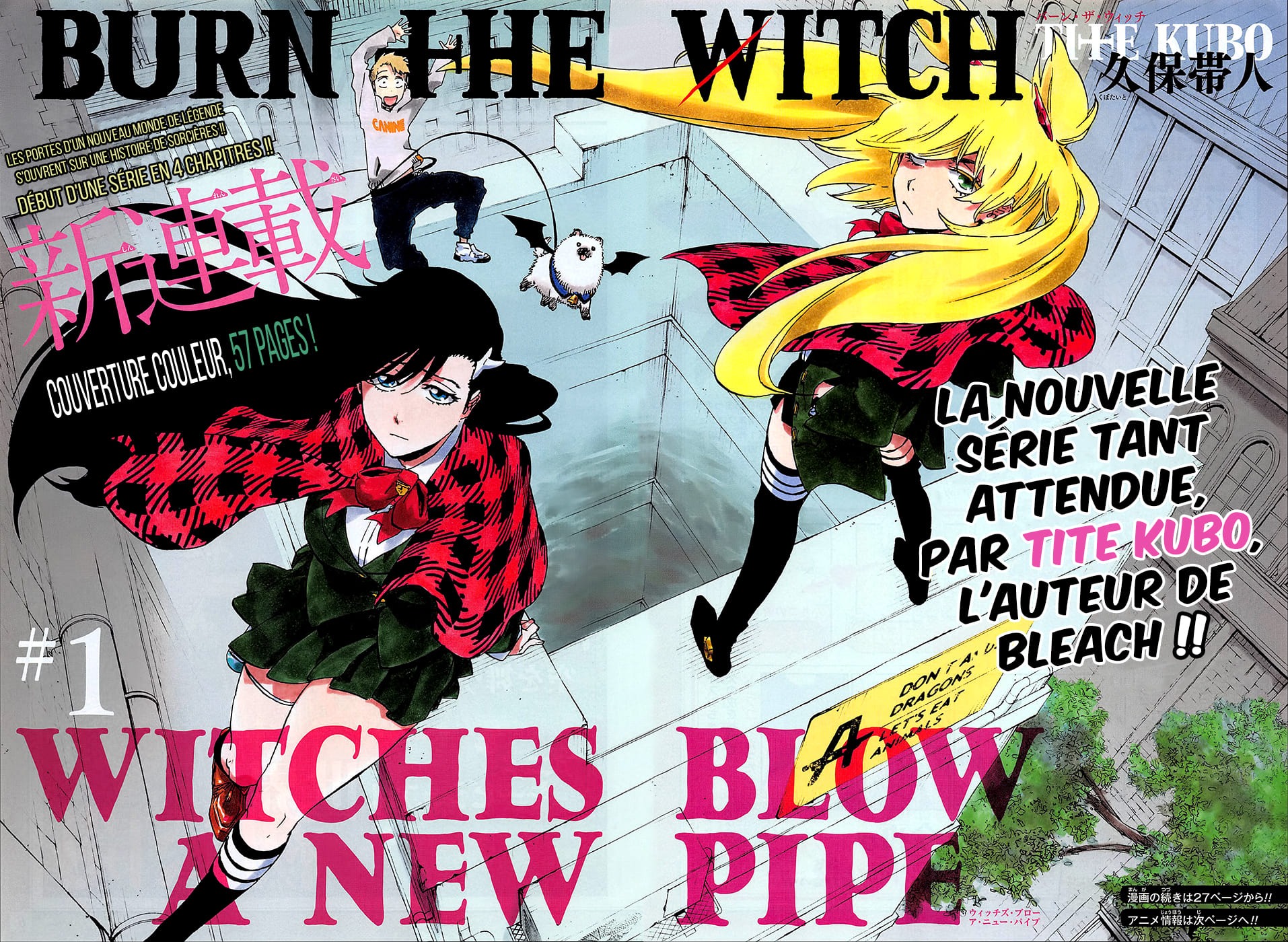 Read Burn the Witch FR Manga Online