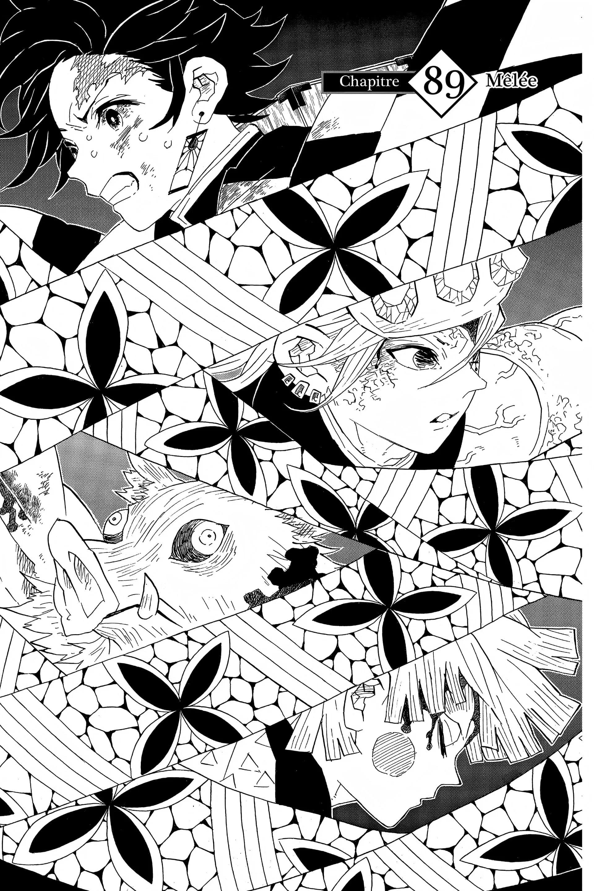Read Demon Slayer FR Manga Online