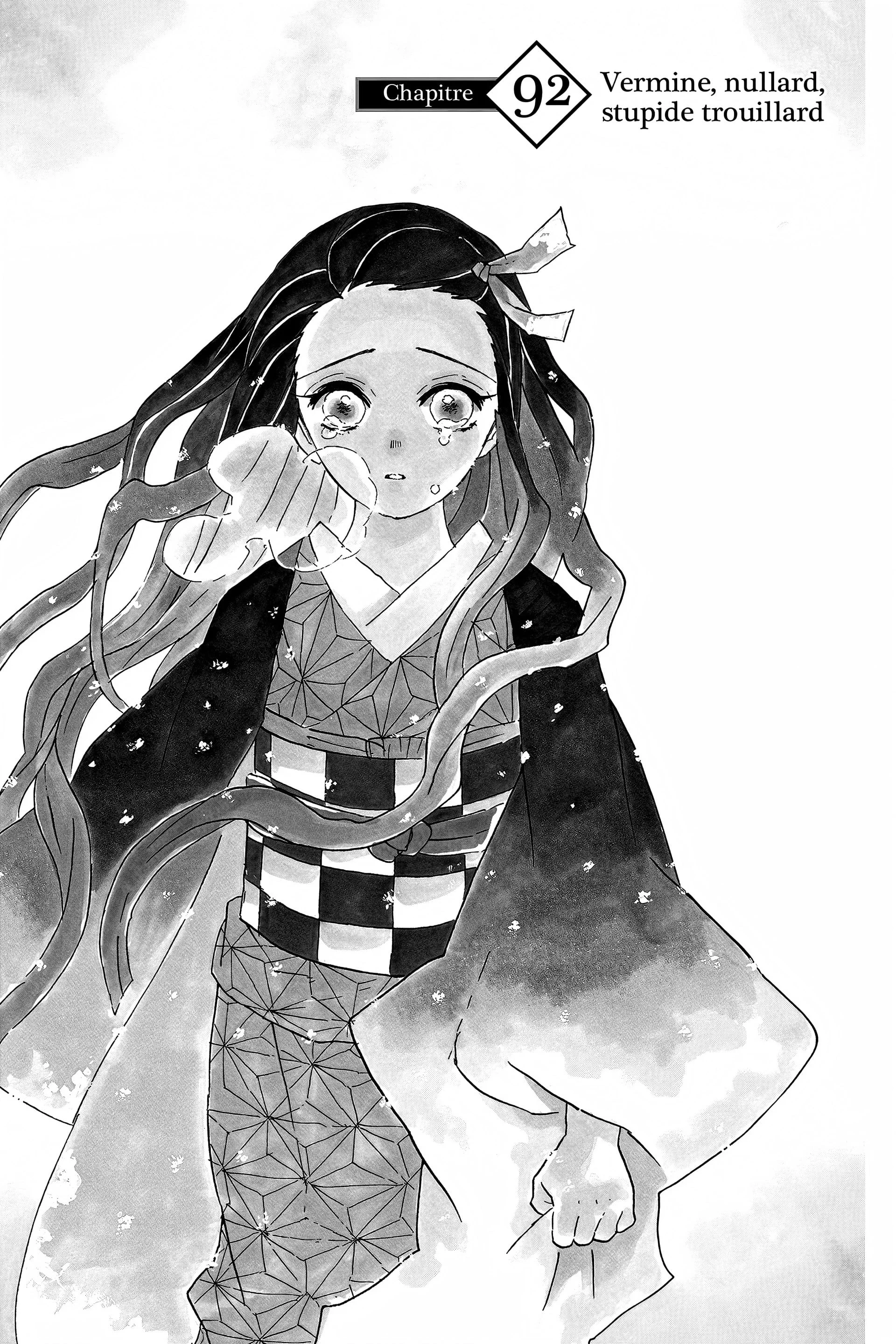 Read Demon Slayer FR Manga Online