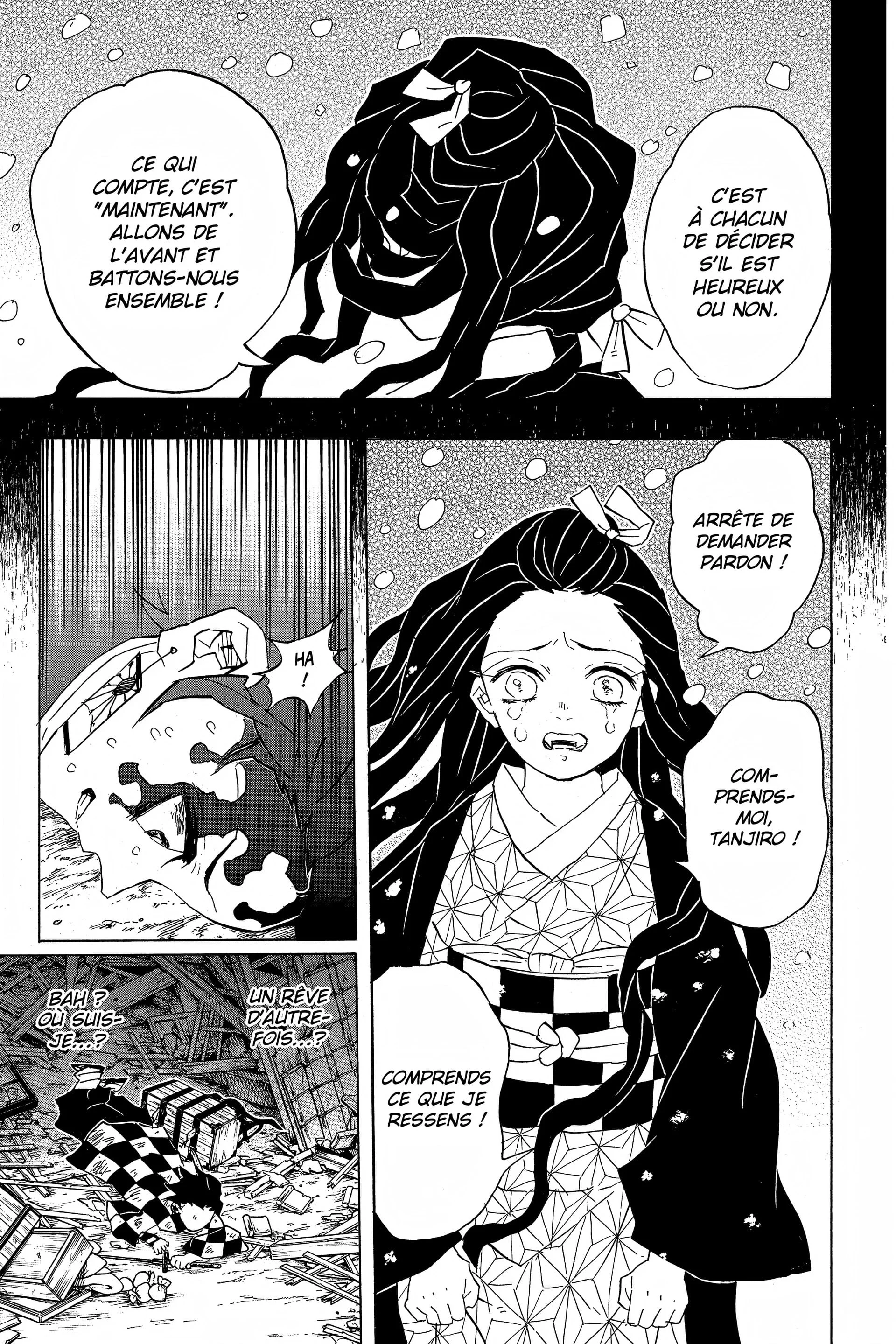 Read Demon Slayer FR Manga Online