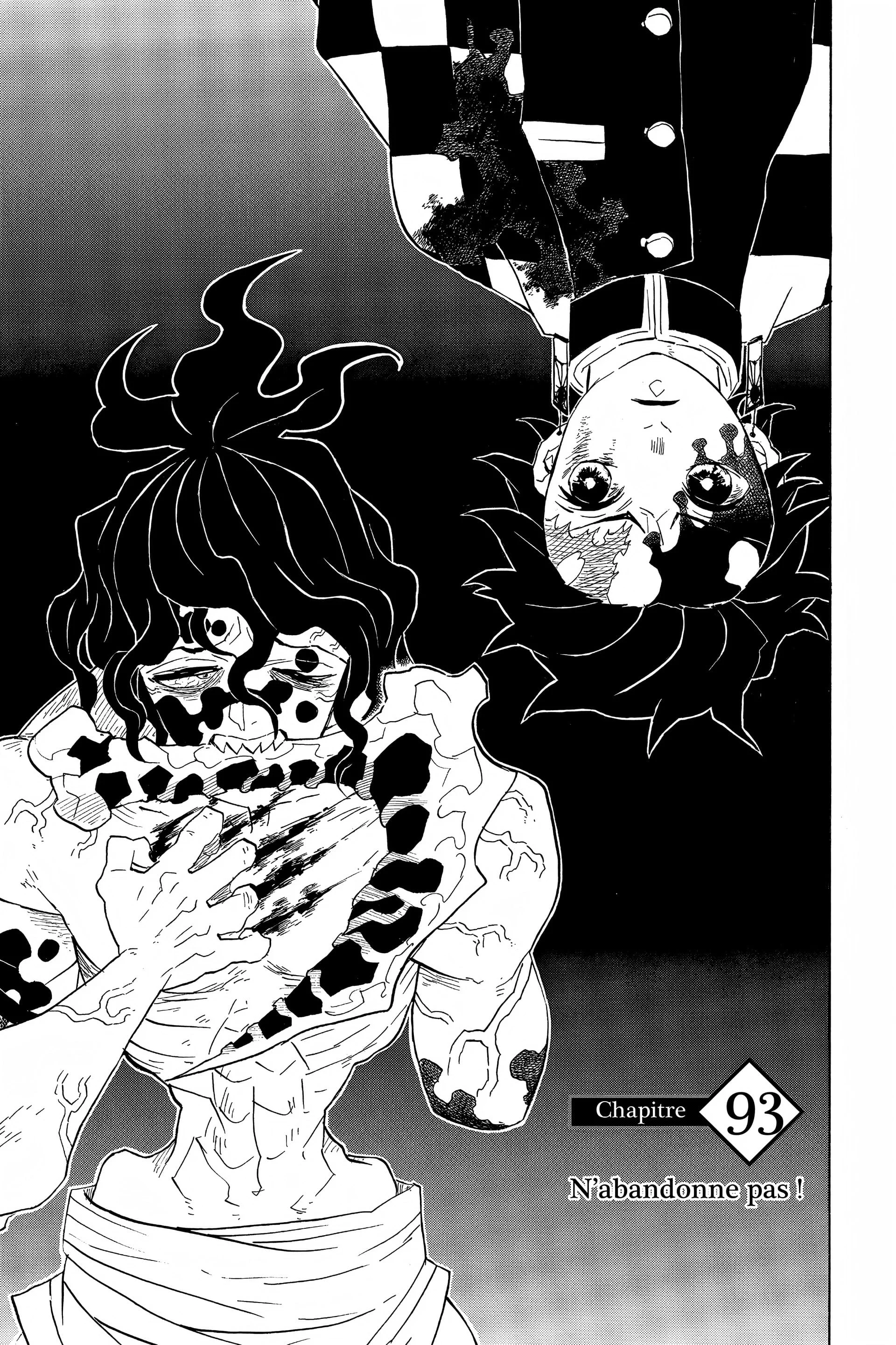 Read Demon Slayer FR Manga Online