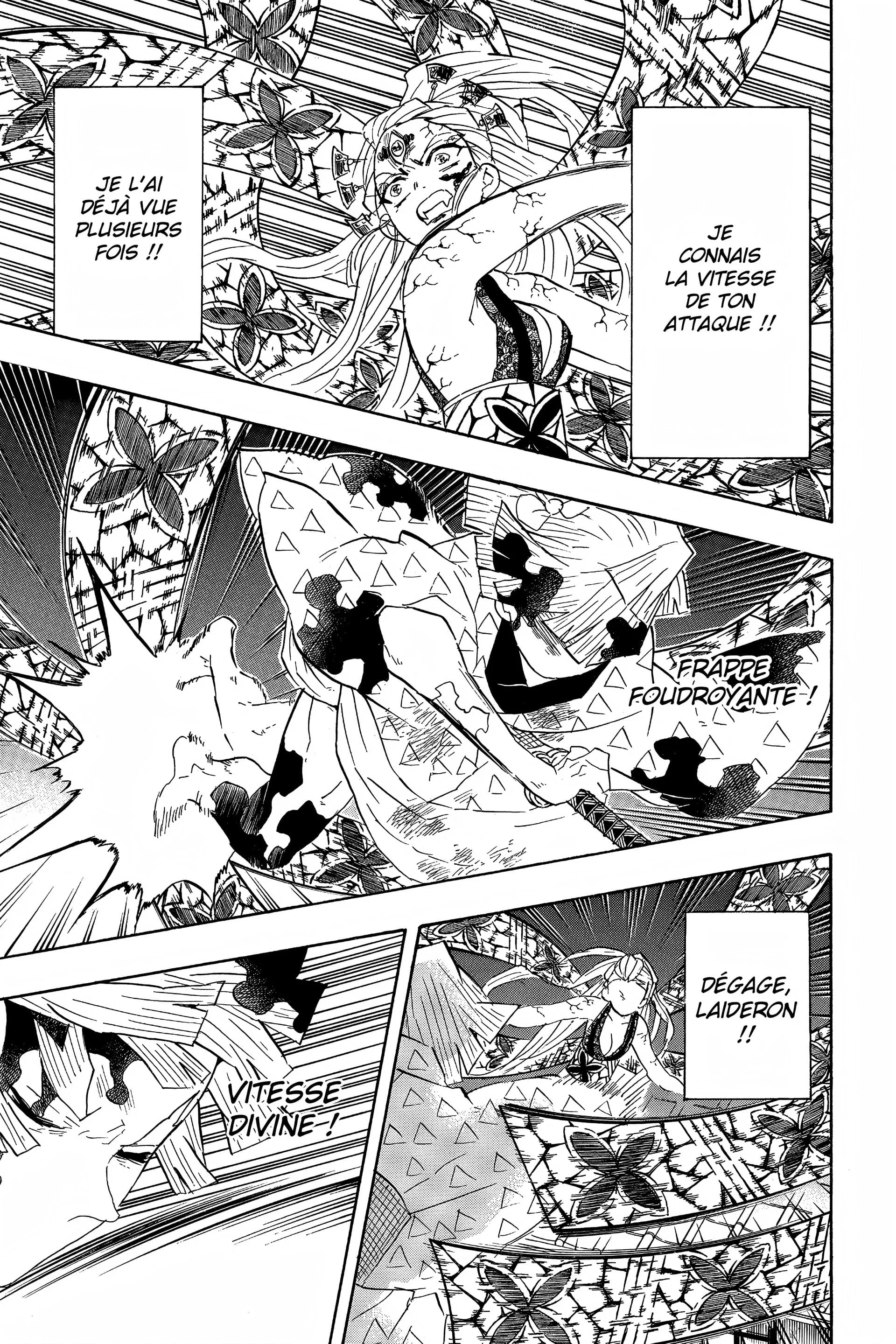 Read Demon Slayer FR Manga Online