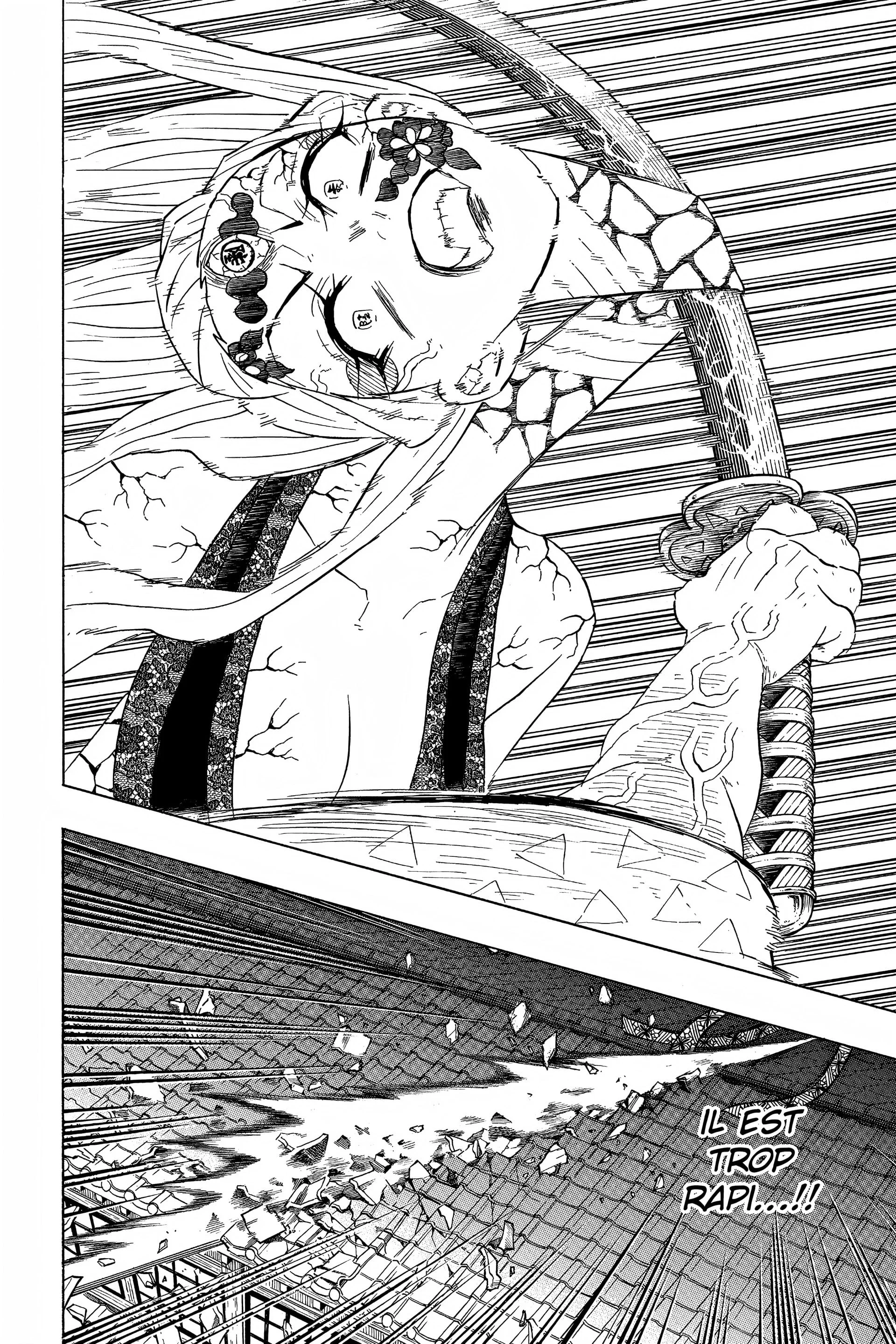 Read Demon Slayer FR Manga Online