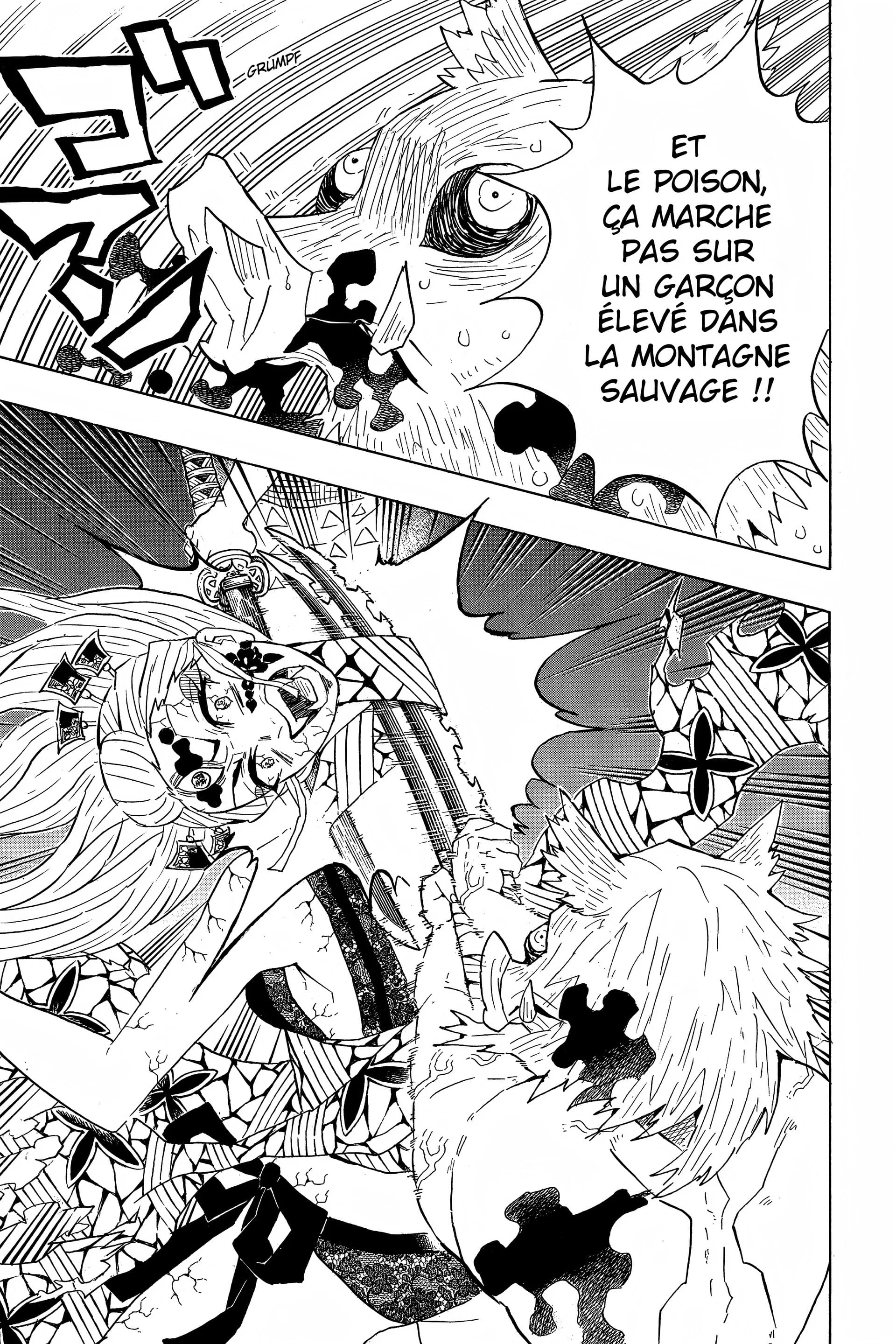 Read Demon Slayer FR Manga Online