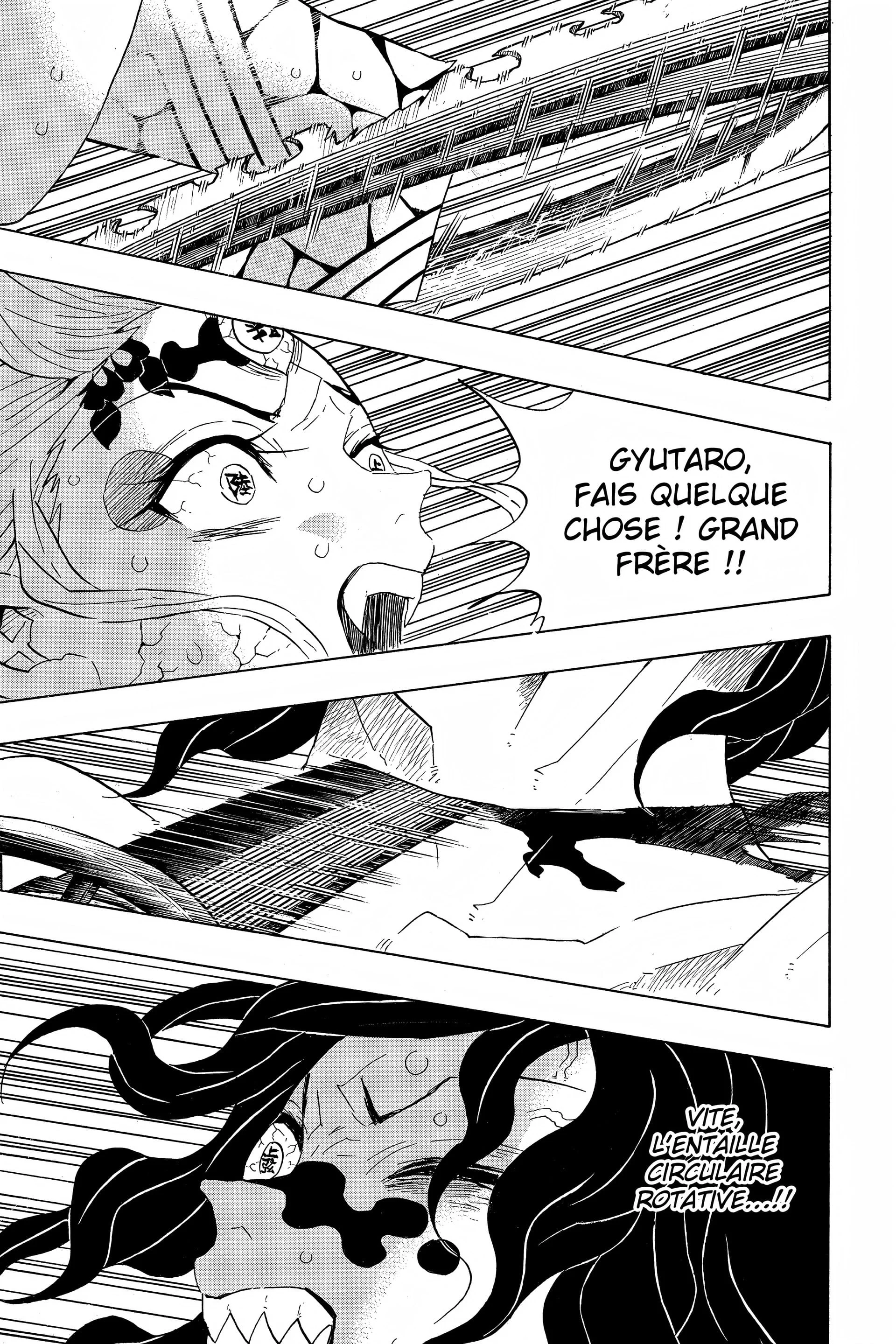 Read Demon Slayer FR Manga Online