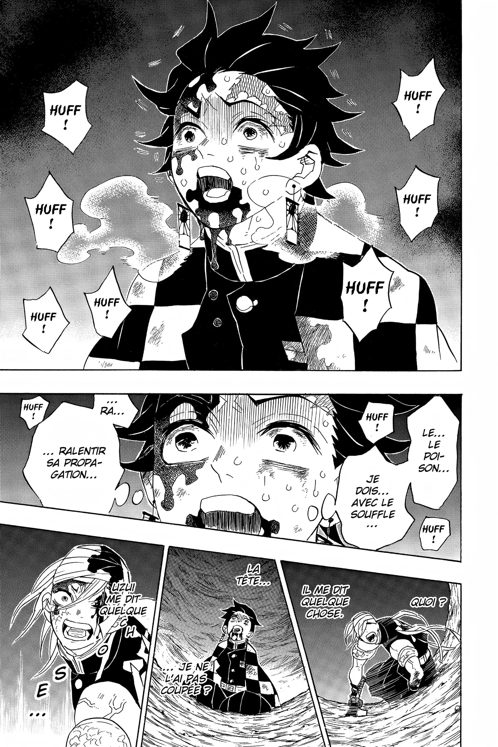 Read Demon Slayer FR Manga Online